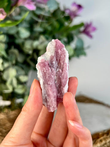 Grade AA Natural Pink Tourmaline on Aquamarine, A Harmonious Blend of Love and Serenity PTC54, 42g