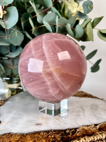Grade AA Rose Quartz Sphere with Hematoid, Starlight and Rainbows |Heart Healing Crystal on Glass Stand | From Madagascar 2335g - RSQ10