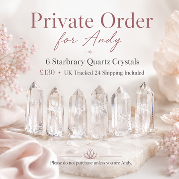 Private Order for Andy – 6 Starbrary Quartz Crystals (Bundle)