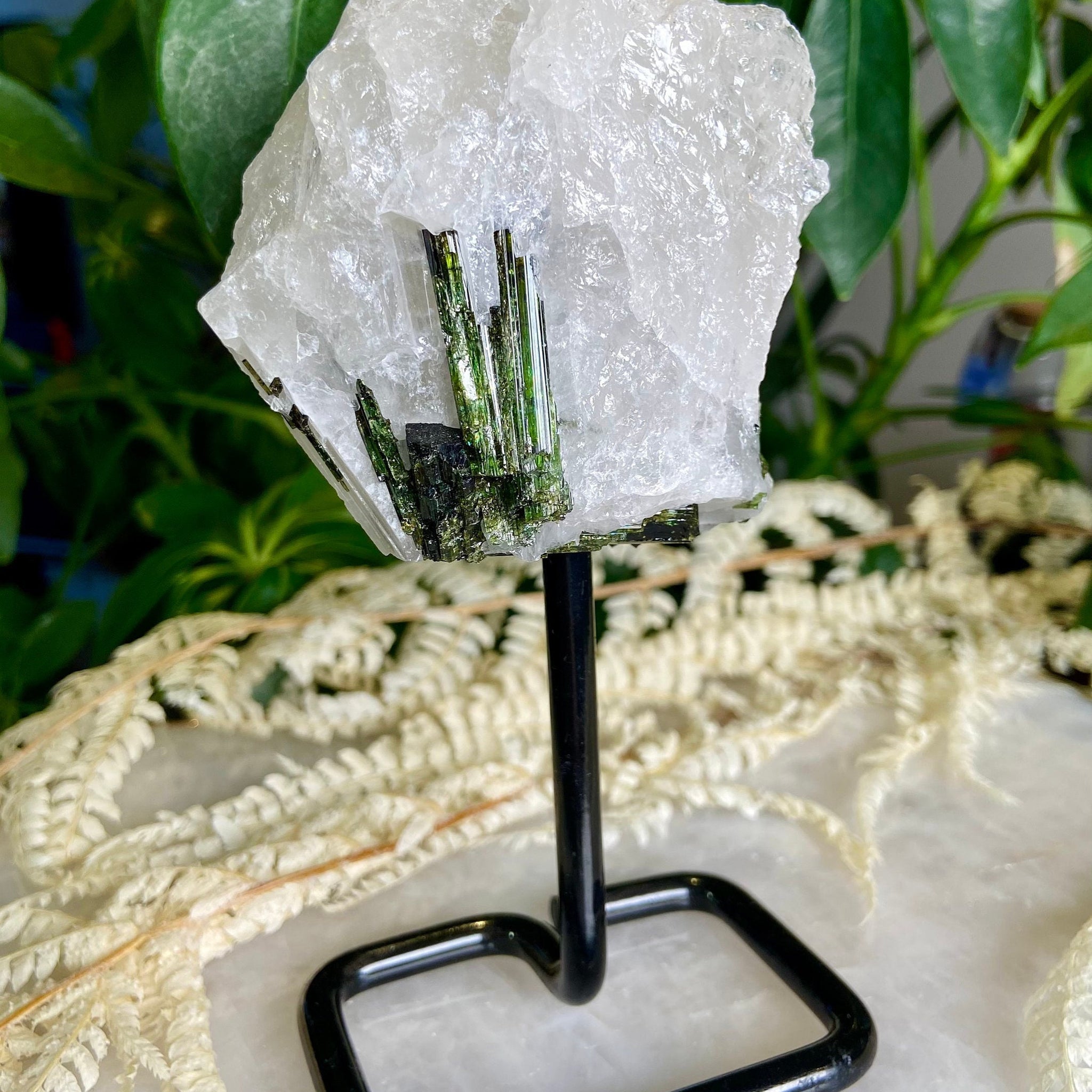 Natural Green TOURMALINE on Stand, Athletic Healing, Plant Healer, Good Fortune, Heart Chakra Healing, Harmony and Balance 267g