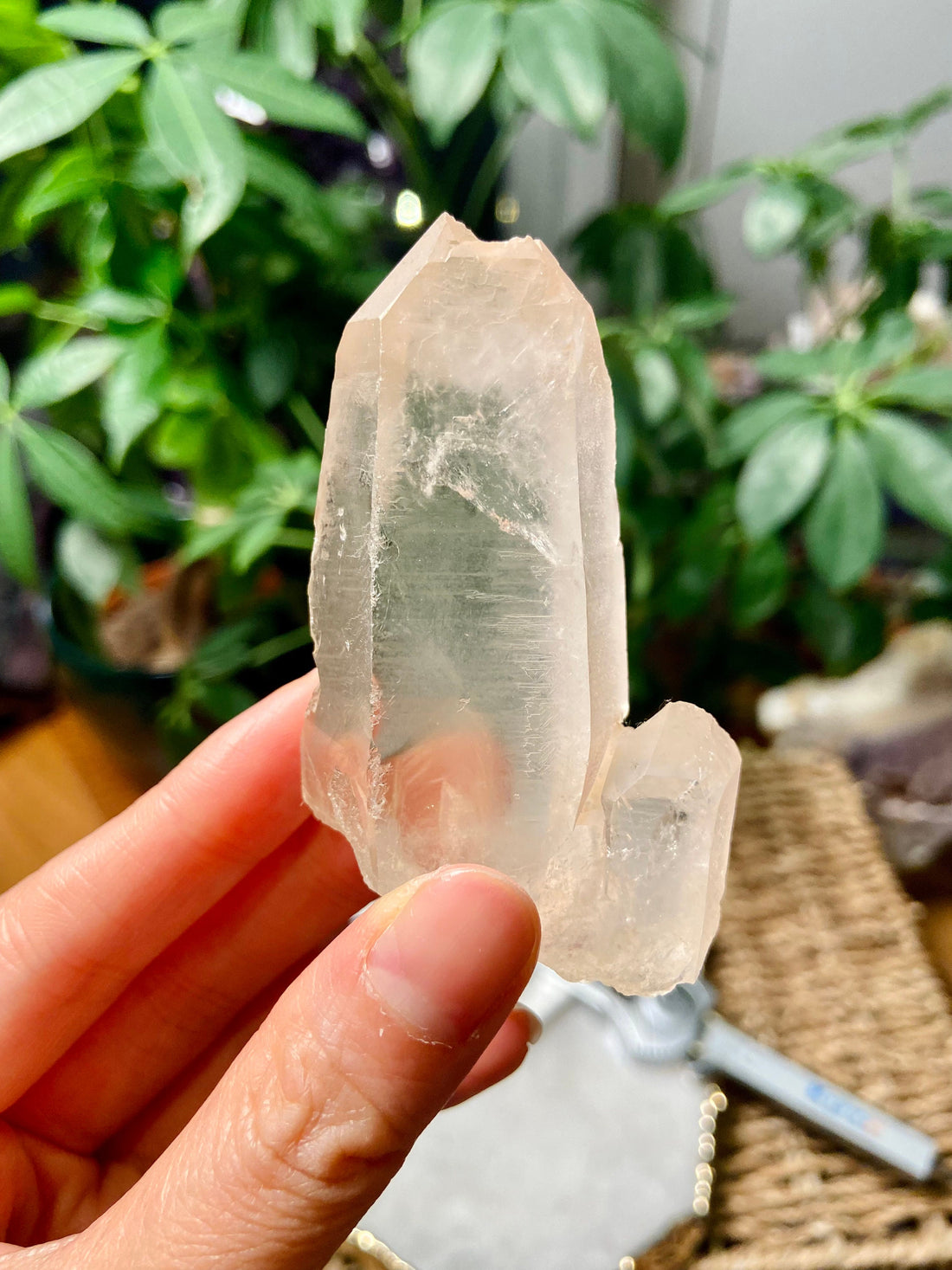 Tangerine QUARTZ POINTS, LEMURIAN Quartz, Soul Gem,Sacral Chakra, Divine Spirit Loving Energy Healing Crystal Point Lemurian Seed Quartz