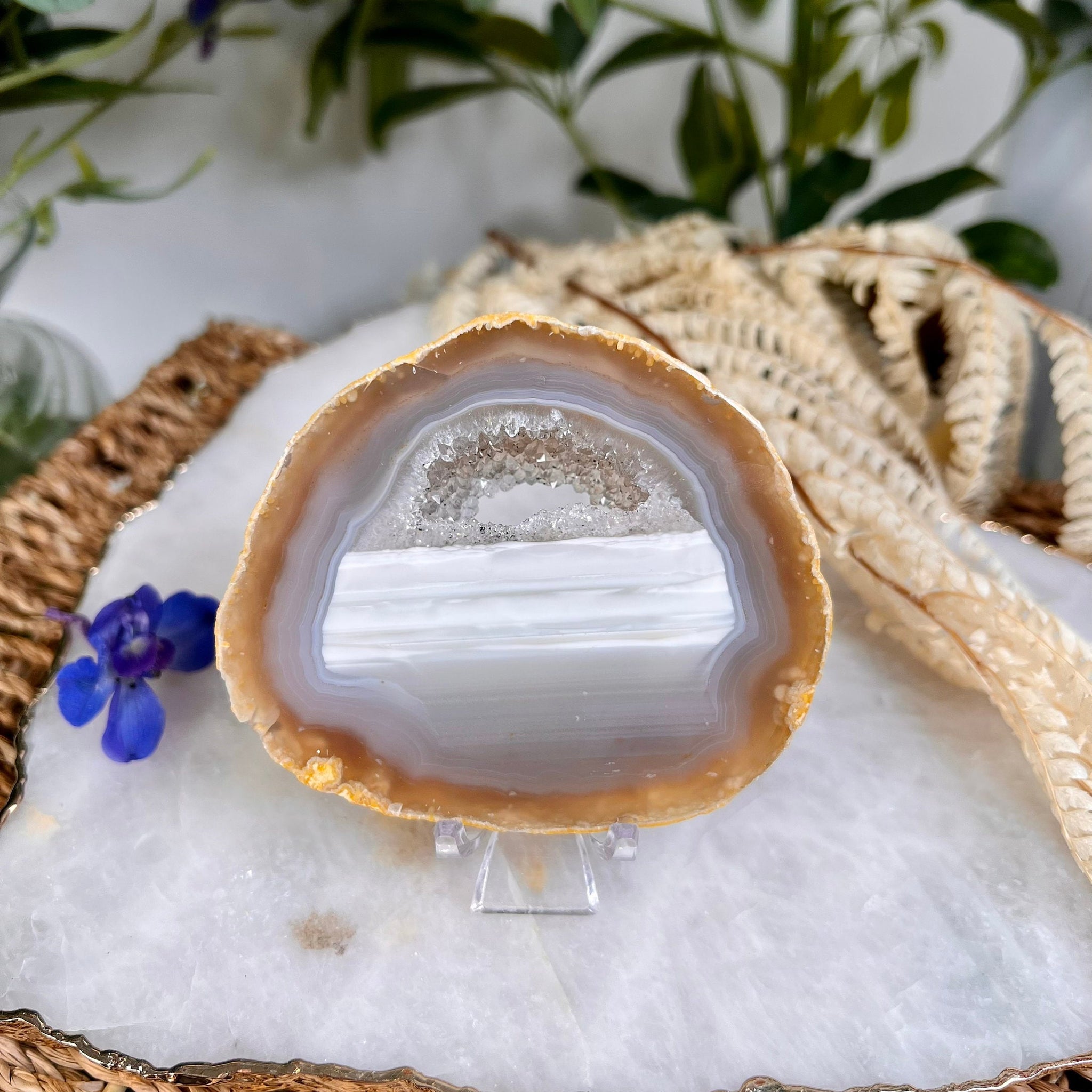 Grade AAA Natural Agate Geode Slice,Polished Crystal, House Blessing, Good Fortune, can be coaster or sphere stand 161g