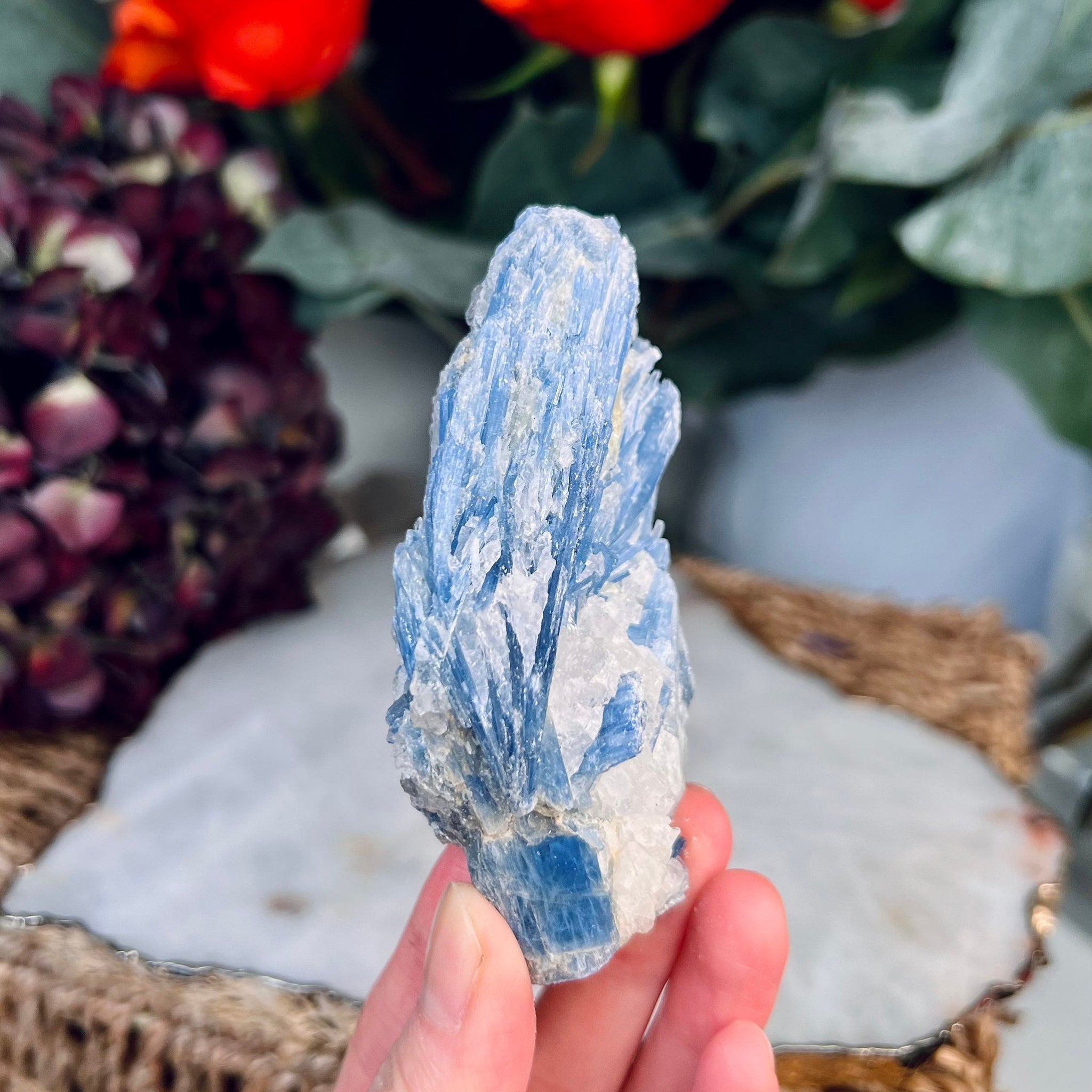 Grade AA Natural Blue Kyanite with Quartz,  Crystal Healing, Energy Protection, Calming 133g