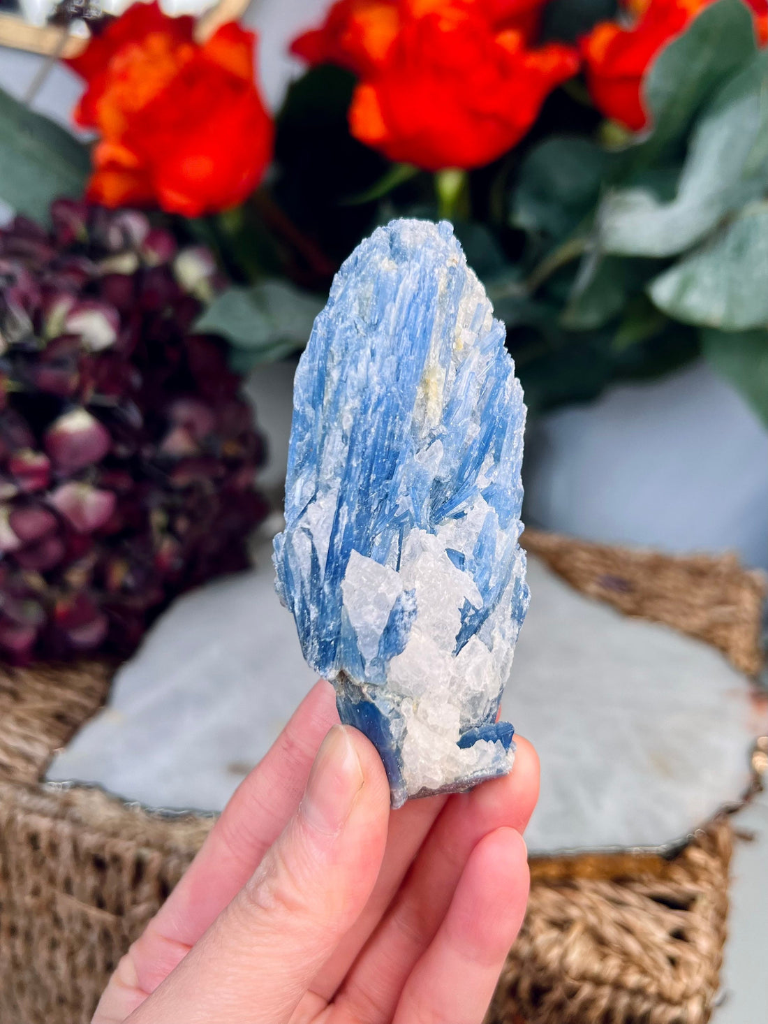 Grade AA Natural Blue Kyanite with Quartz,  Crystal Healing, Energy Protection, Calming 133g