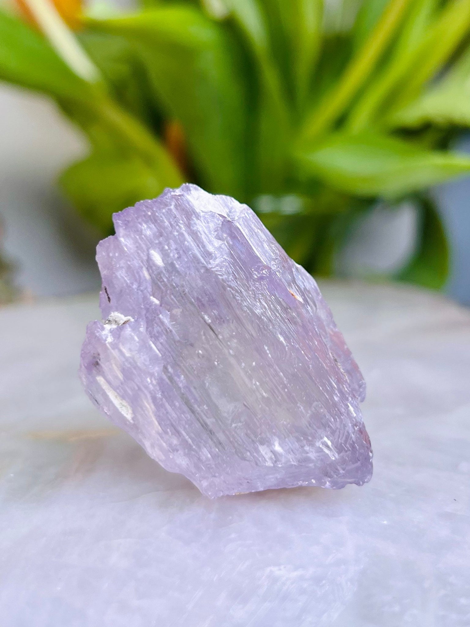 Natural GEM Grade Purple Kunzite Specimen with RAINBOW from Afghanistan Kunar Dara e Peach Valley, Gemstone Collector Piece 63g