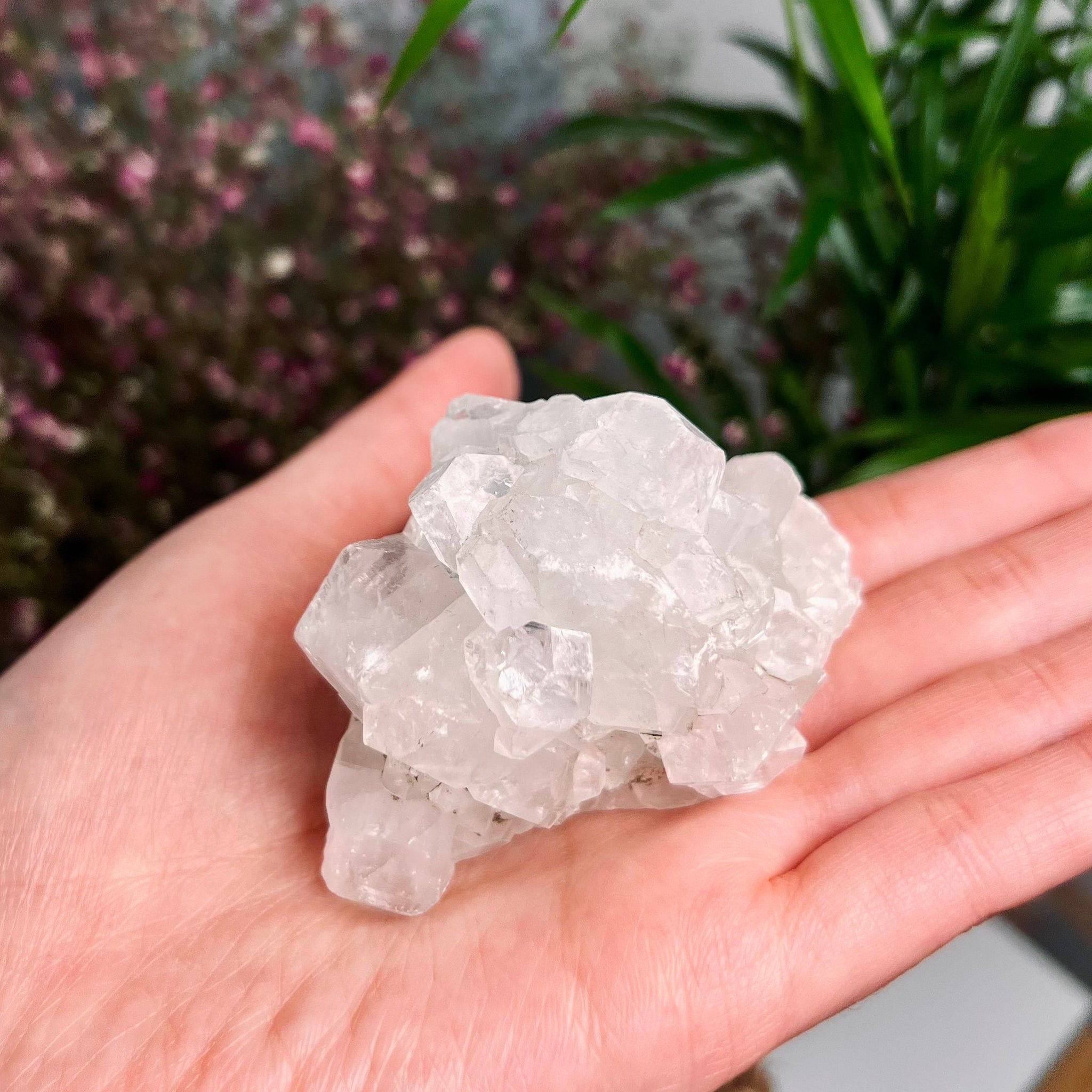 Grade AA Natural Apophyllite Specimen with from India, Crystal Healing Home Decor