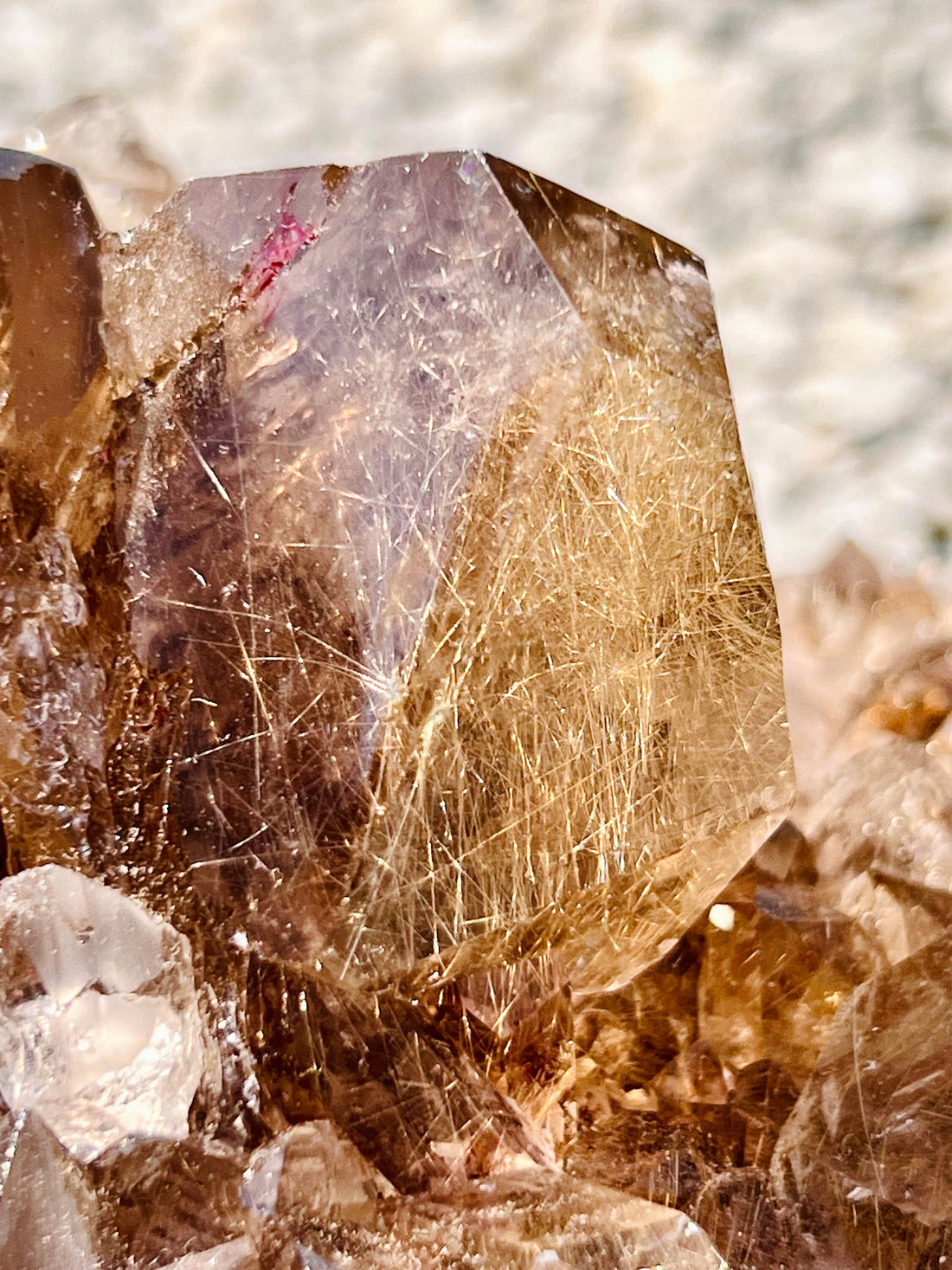 Grade AAA Natural Smoky Golden Rutile Quartz Cluster, Smoky Quartz with Titanium Rutile 1152g