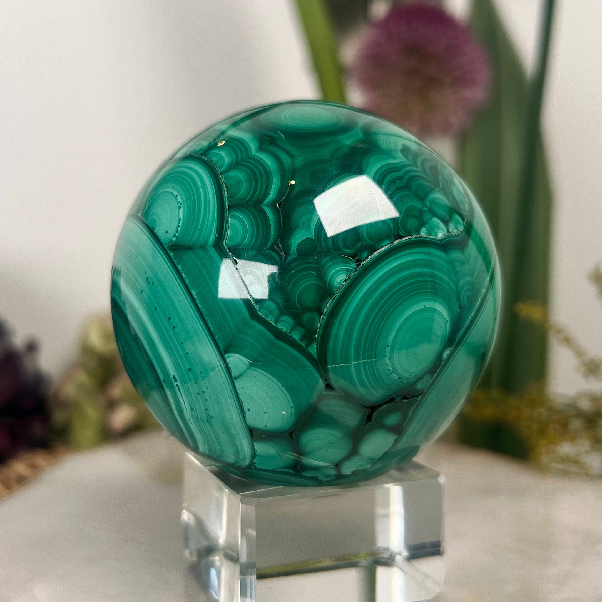 Grade AAA Natural  Malachite Sphere on Stand, Manifestation Crystal,Energy Clearing, Good Fortune, Stone for New Beginnings, 718g MS01