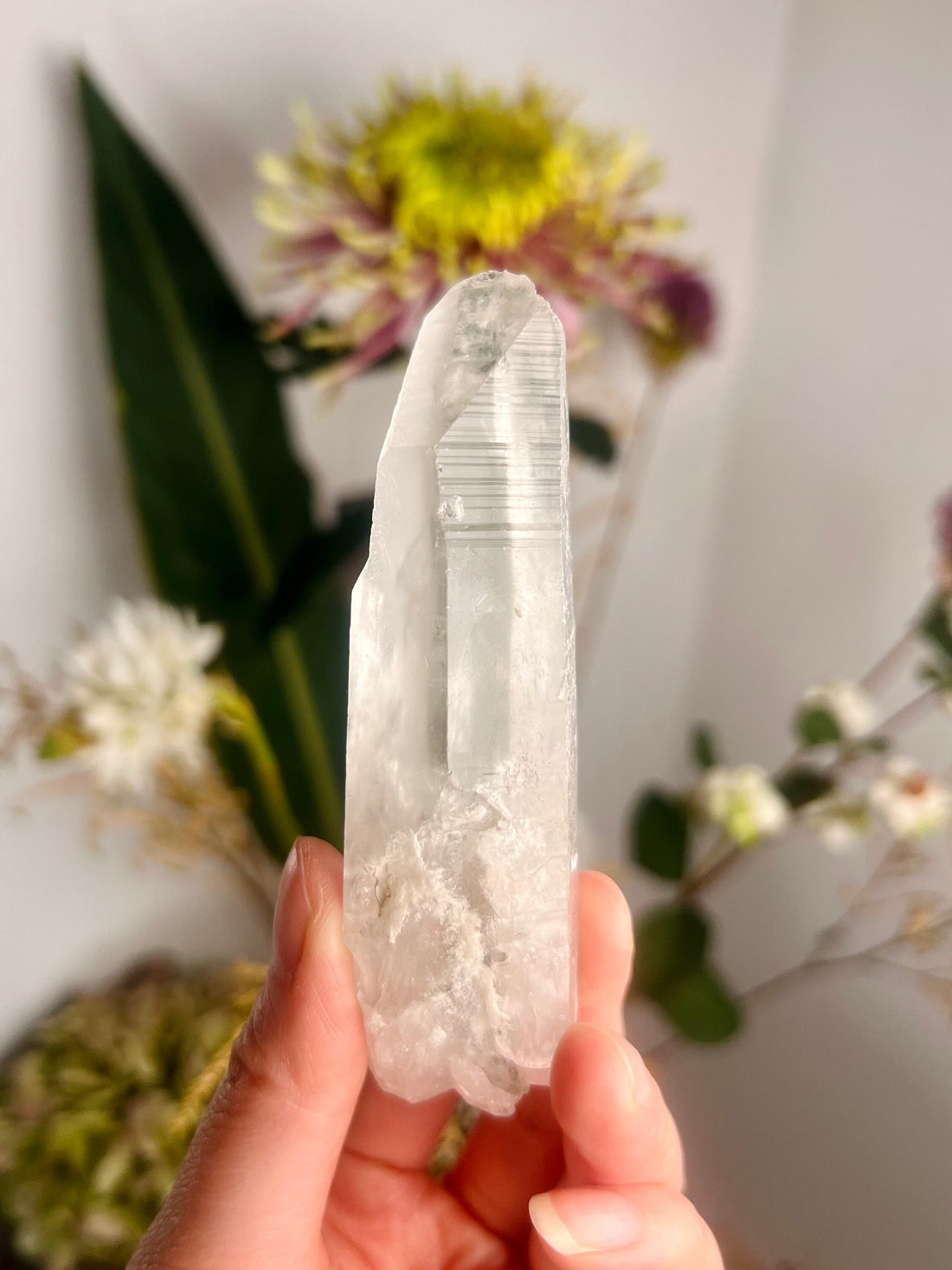 Grade AAA Natural Chlorite Lemurian Quartz 78g, Starseed Quartz Wand, Extra Quality CS04