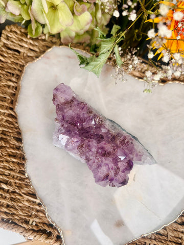 Natural Brazil Amethyst Cluster with Rutile, Healing Crystal Home Decor 430g - AC15