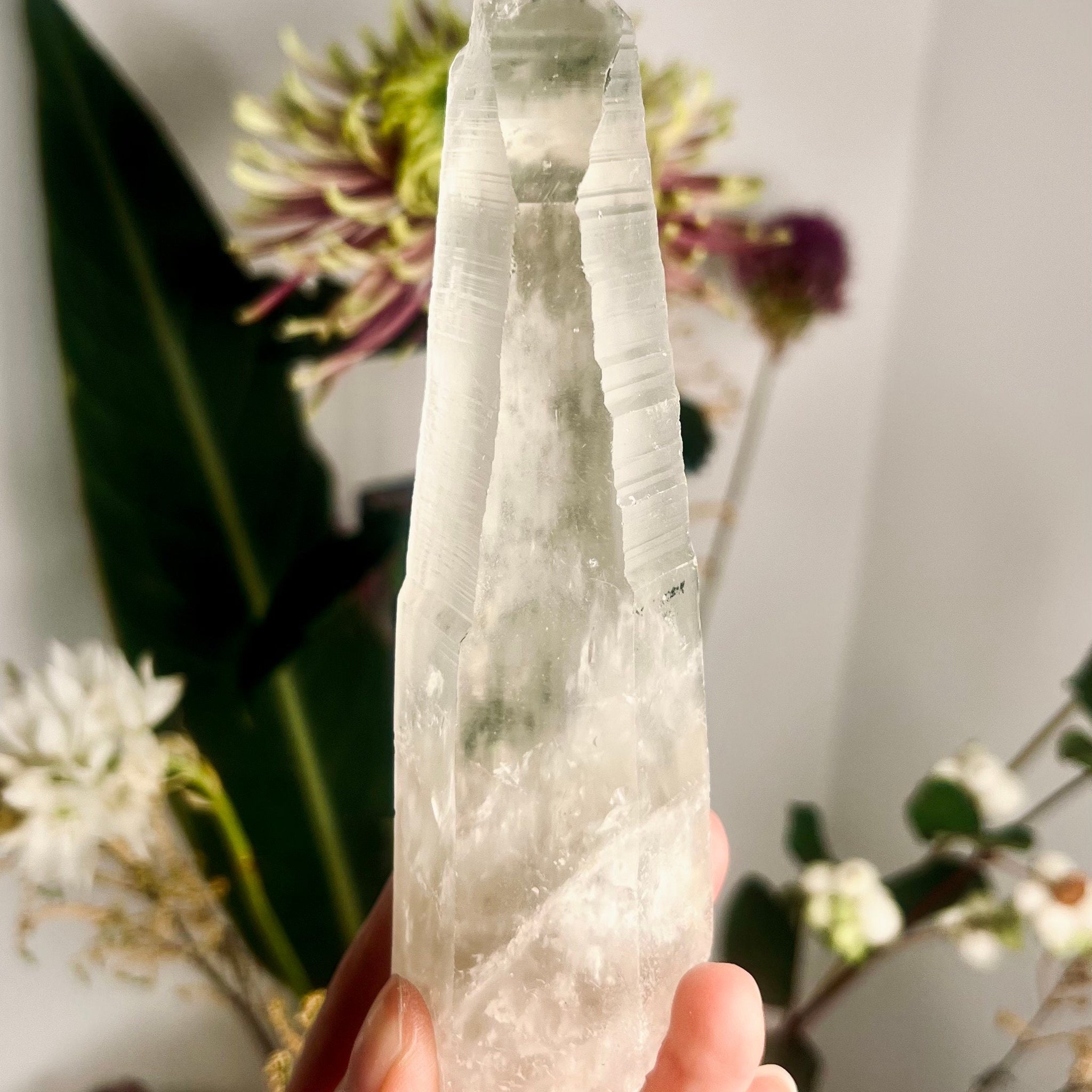 Grade AAA+ Natural Chlorite Lemurian Quartz 231g, Record Keepers,Self Healed, Starseed Quartz Wand, Super Extra Quality CS02