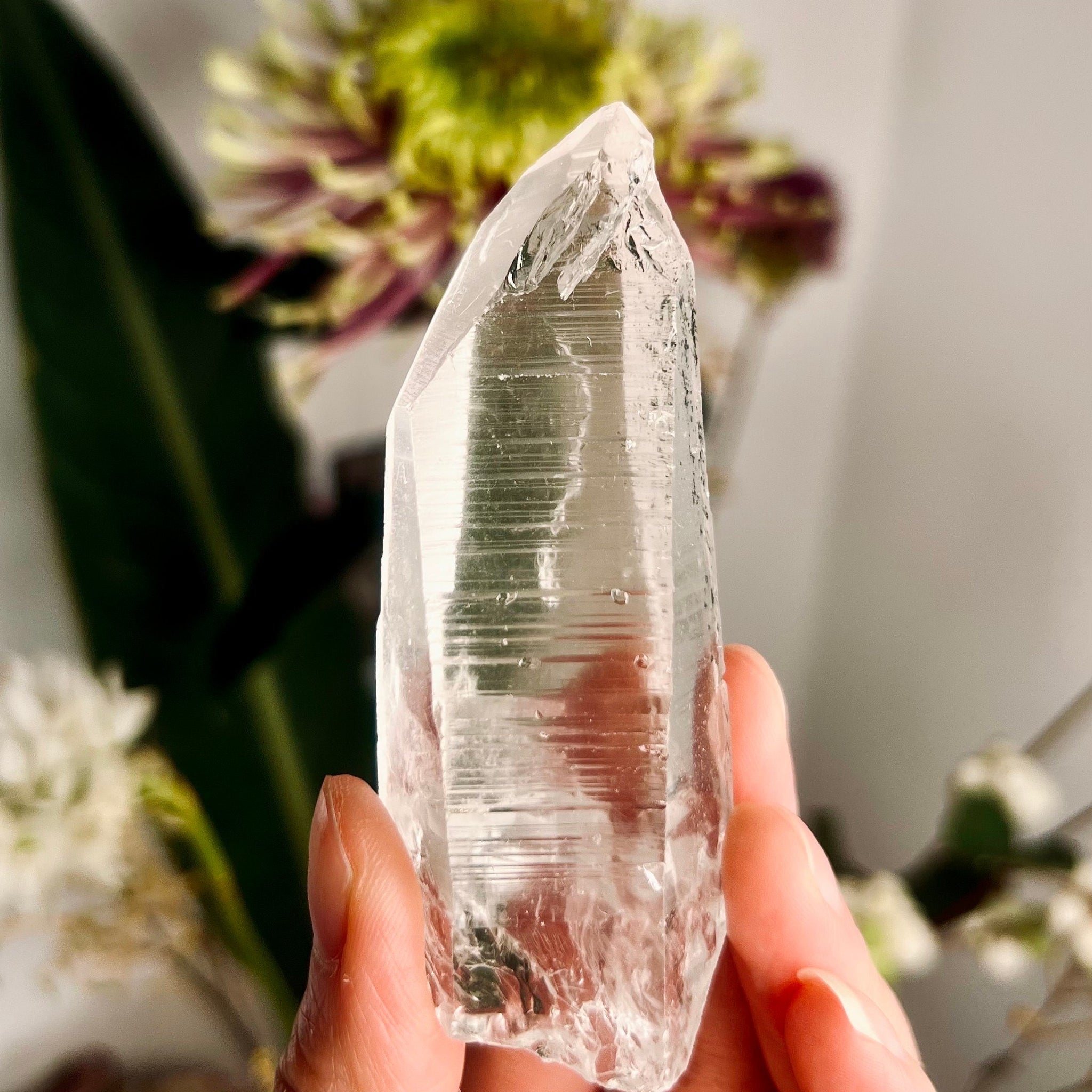 Grade AAA+ Natural Chlorite Lemurian Quartz 67g, Self Healed, Starseed Quartz Wand,  Extra Quality CS21