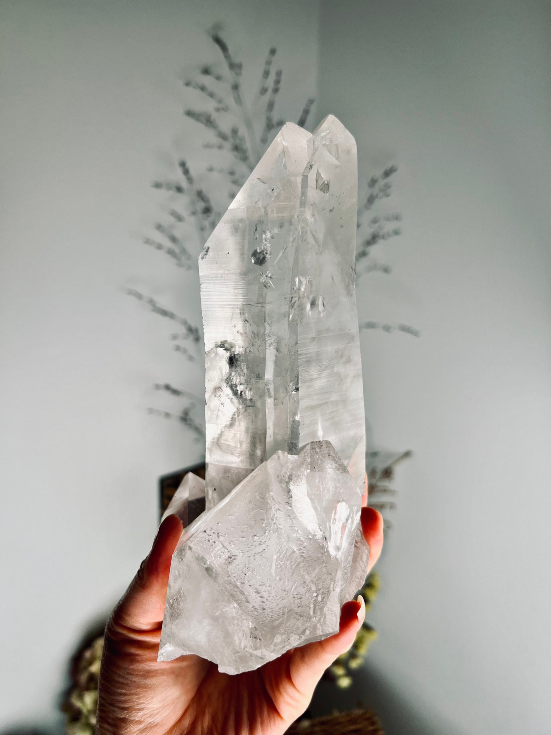 Grade AAA+ Natural Twin Lemurian Quartz on Stand 1.5kg, Self Healed, Starseed Quartz Wand, Super Extra Quality