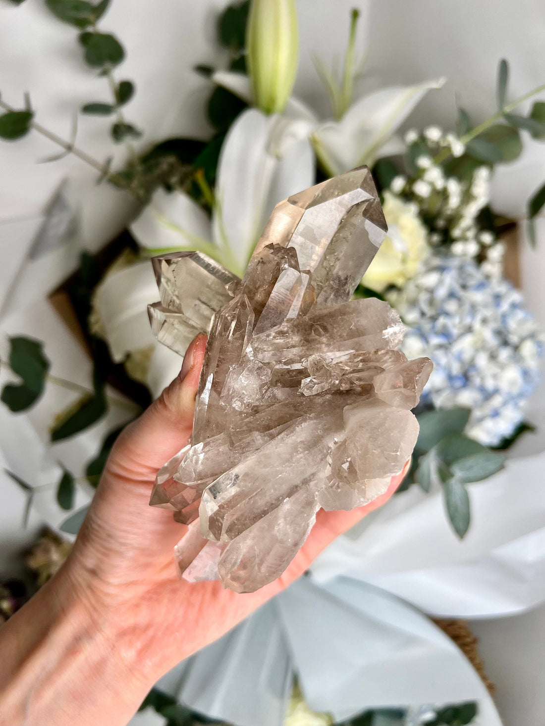 Exceptional AAA Smoky Quartz Cluster with Bridge & Inner Child Points and Rainbows  SC10 399g