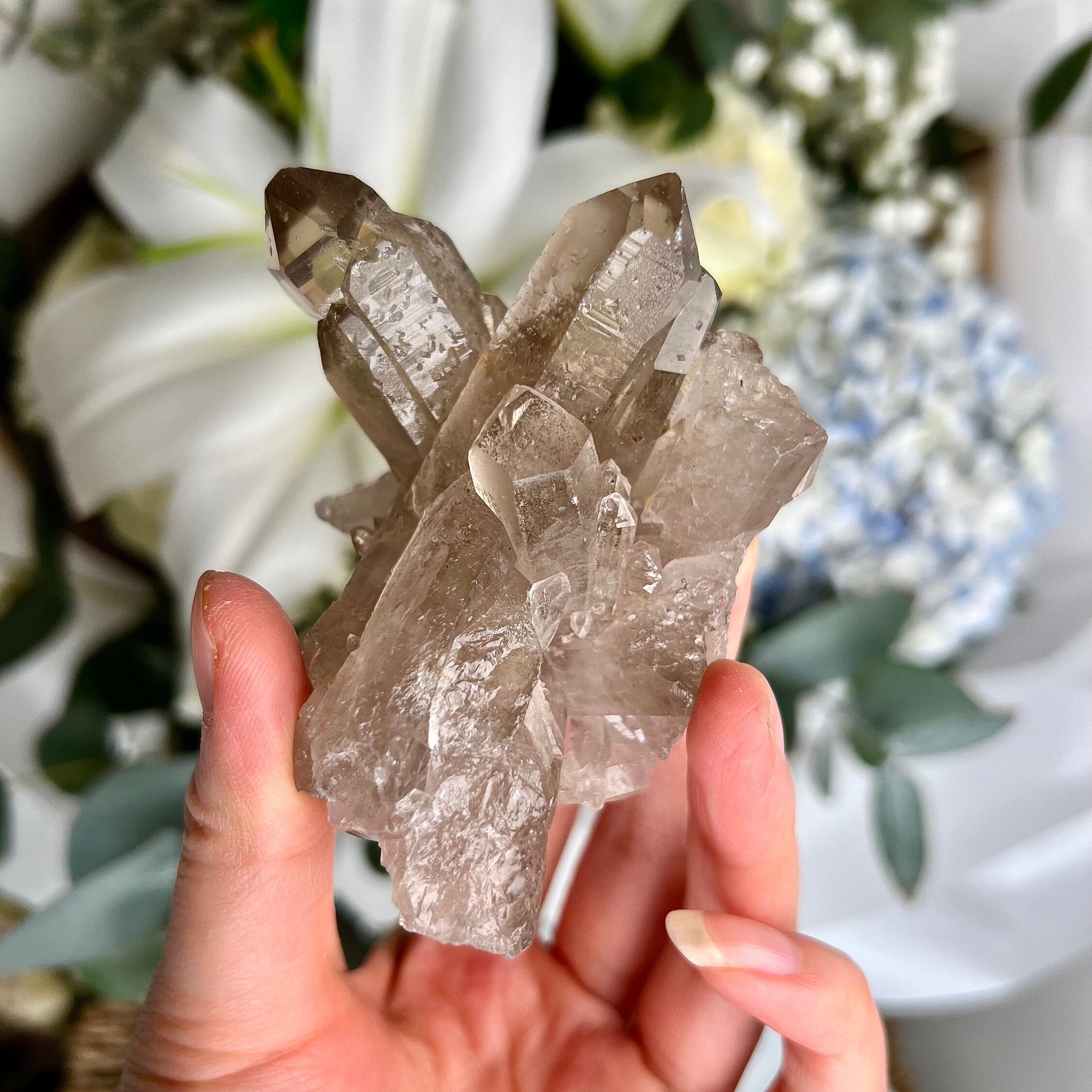 Natural Etched AAA Smoky Quartz Cluster with Bridge & Inner Child Points and Rainbows  SC09 159g