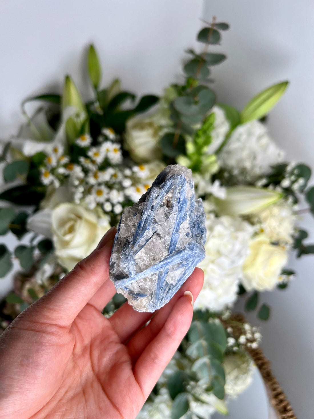 Grade AA Natural Blue Kyanite with Quartz,  Crystal Healing, Energy Protection, Calming BK07 186g