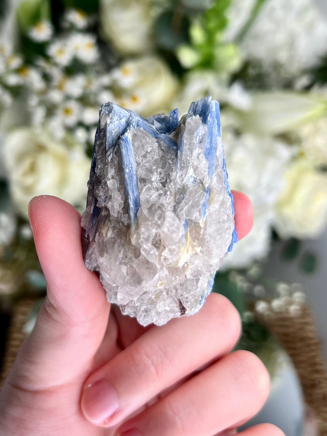 Grade AA Natural Blue Kyanite with Quartz,  Crystal Healing, Energy Protection, Calming BK13, 74g