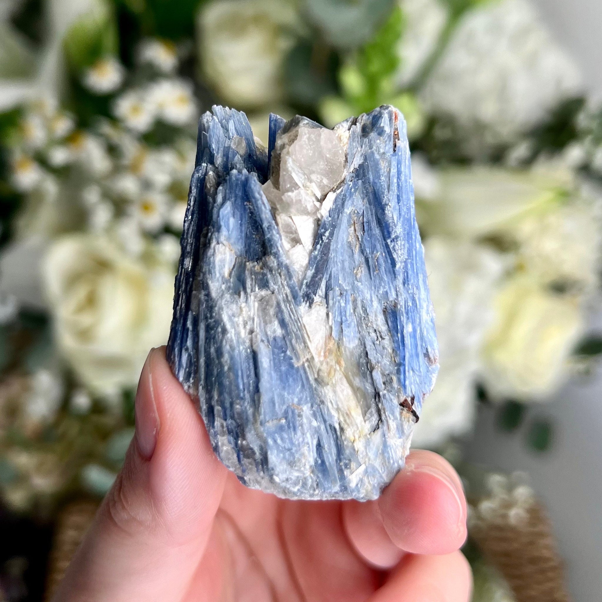 Grade AA Natural Blue Kyanite with Quartz,  Crystal Healing, Energy Protection, Calming BK13, 74g