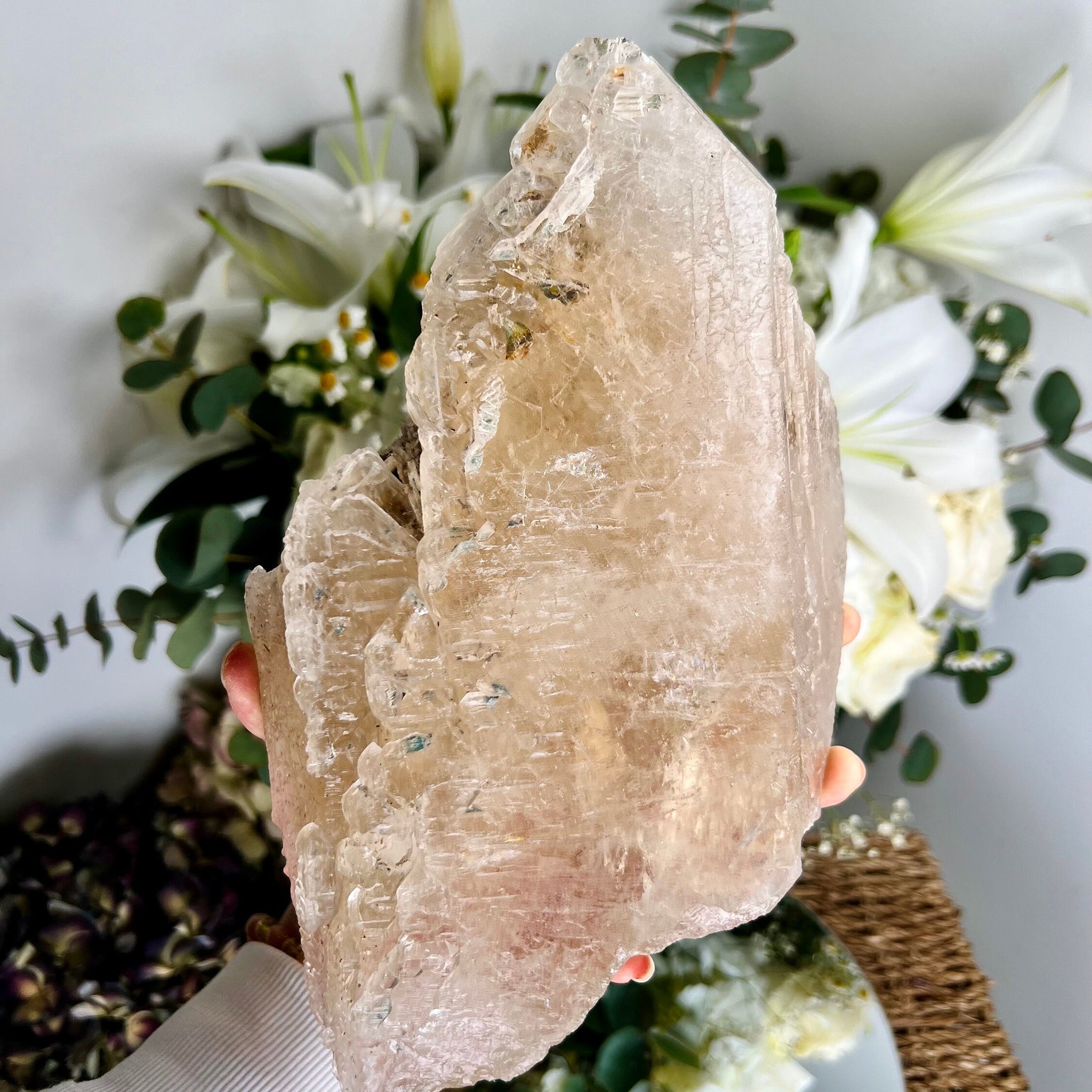 Extra Quality 100% Natural Large Elestial Citrine with Blue Tara Inclusion & Albite - A Cosmic Symphony of Light and Wisdom 1.8kg, EQC01
