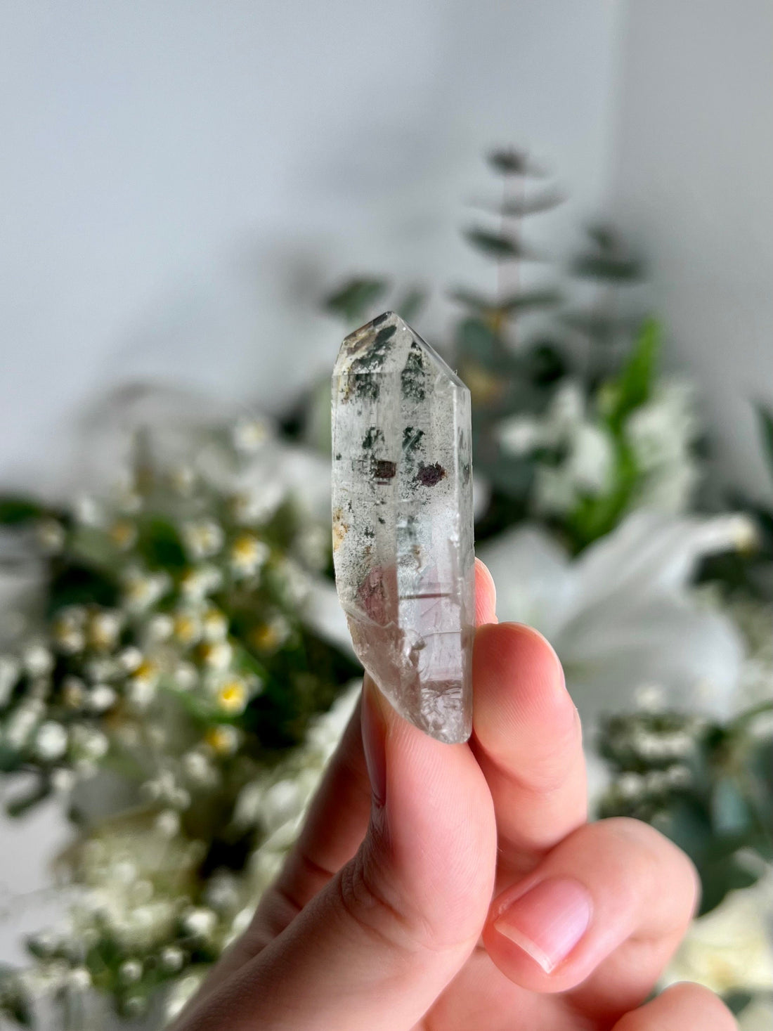 Grade AA+ Natural Clear Quartz Point with Chlorite - A Harmony of Healing and Protection CQC24, 17g