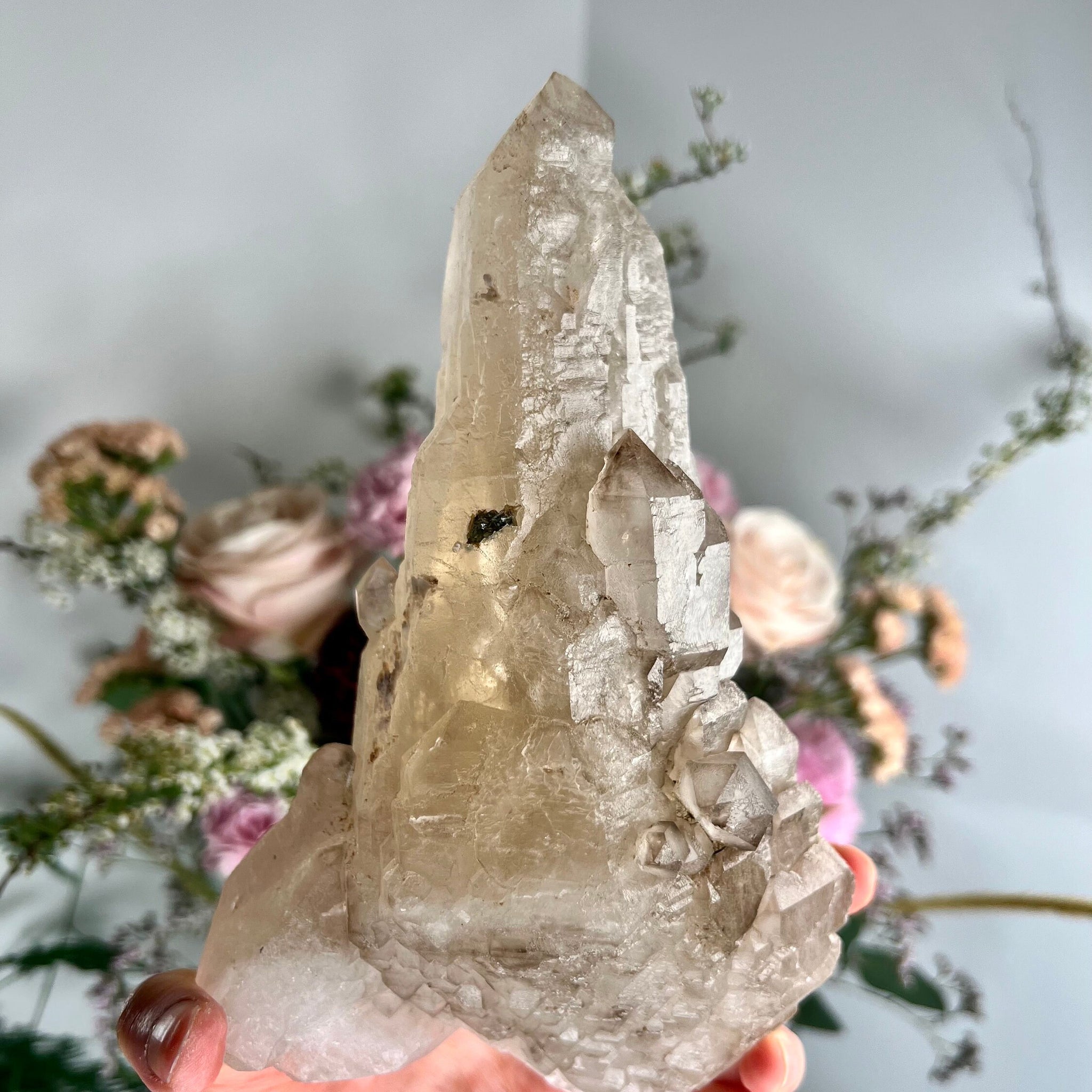 Large Extra Quality Natural Elestial Citrine with Smoky Quartz and Blue Tara 1.3Kg, EQC03