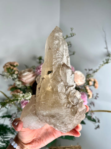 Large Extra Quality Natural Elestial Citrine with Smoky Quartz and Blue Tara 1.3Kg, EQC03