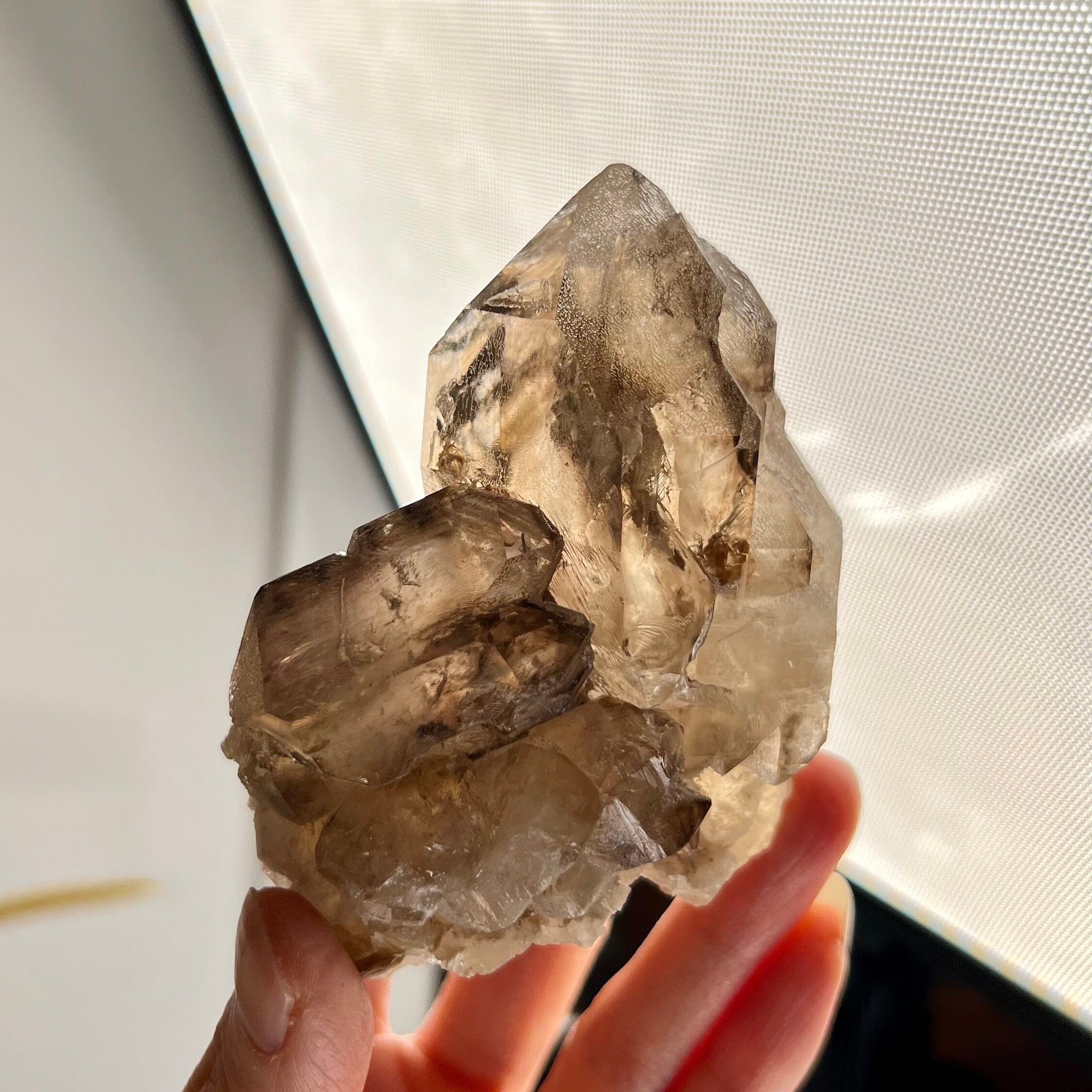 Grade AA 100% Natural Smoky Elestial Quartz on Natural Citrine with Golden Mica & Rainbows - A Symphony of Light and Prosperity 260g, EQC08