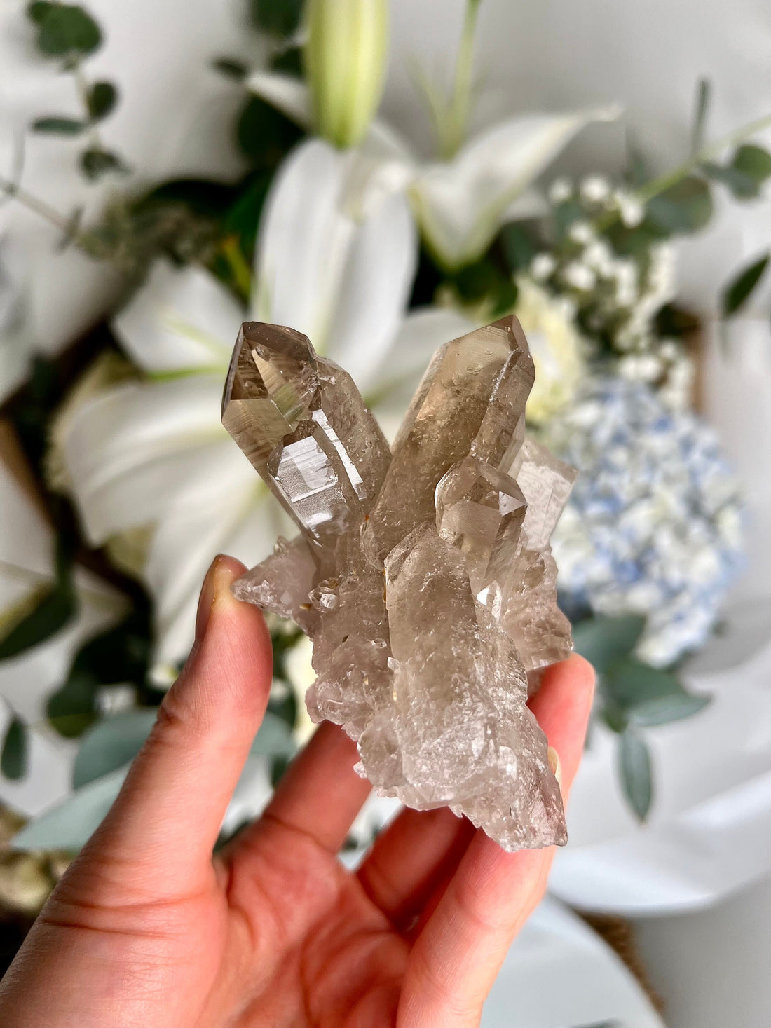 Natural Etched AAA Smoky Quartz Cluster with Bridge & Inner Child Points and Rainbows  SC09 159g