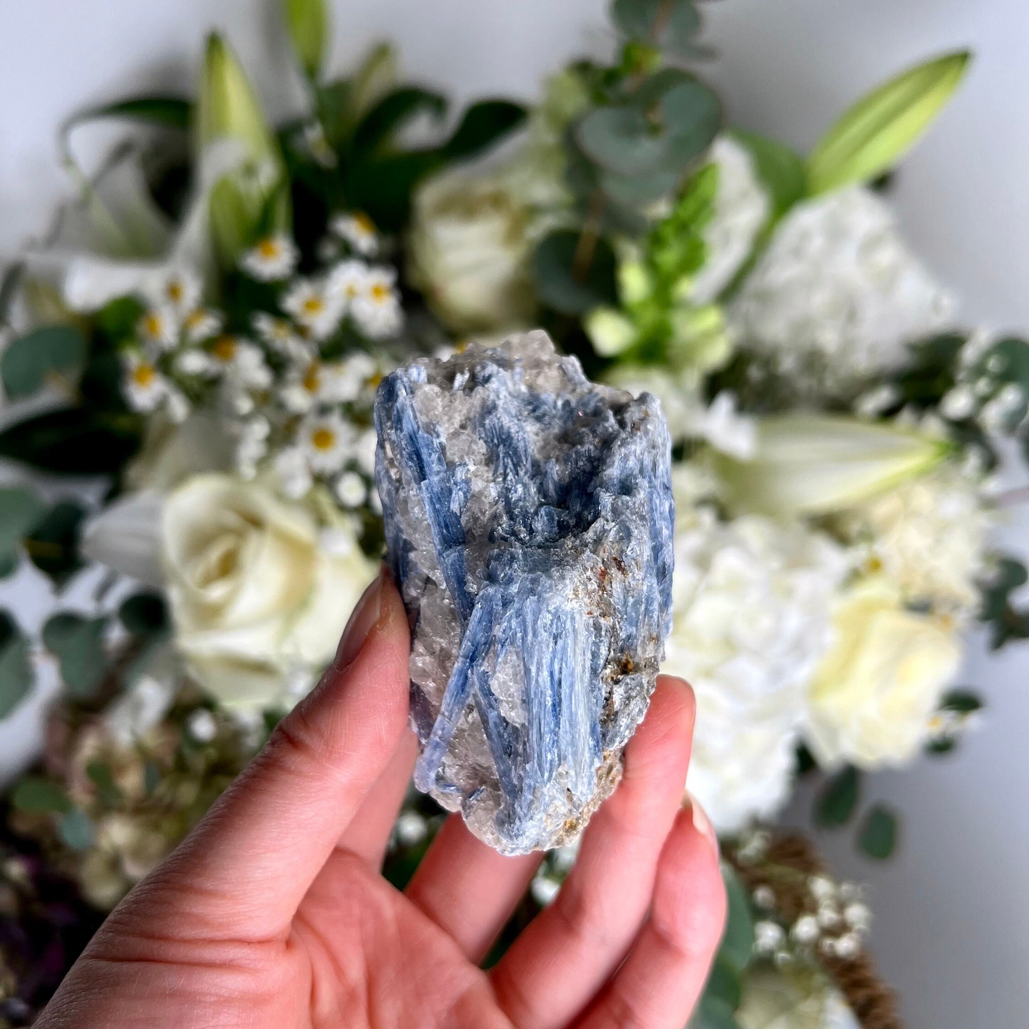 Grade AA Natural Blue Kyanite with Quartz,  Crystal Healing, Energy Protection, Calming BK07 186g