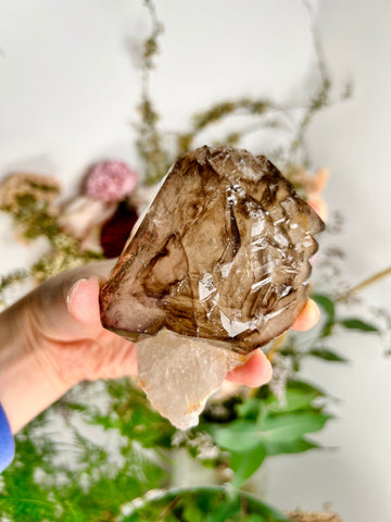 Grade AAA Elestial Smoky Quartz from Araçuai, Brazil - A Portal to Mystical Realms and Vibrant Healing 272g, SEH03