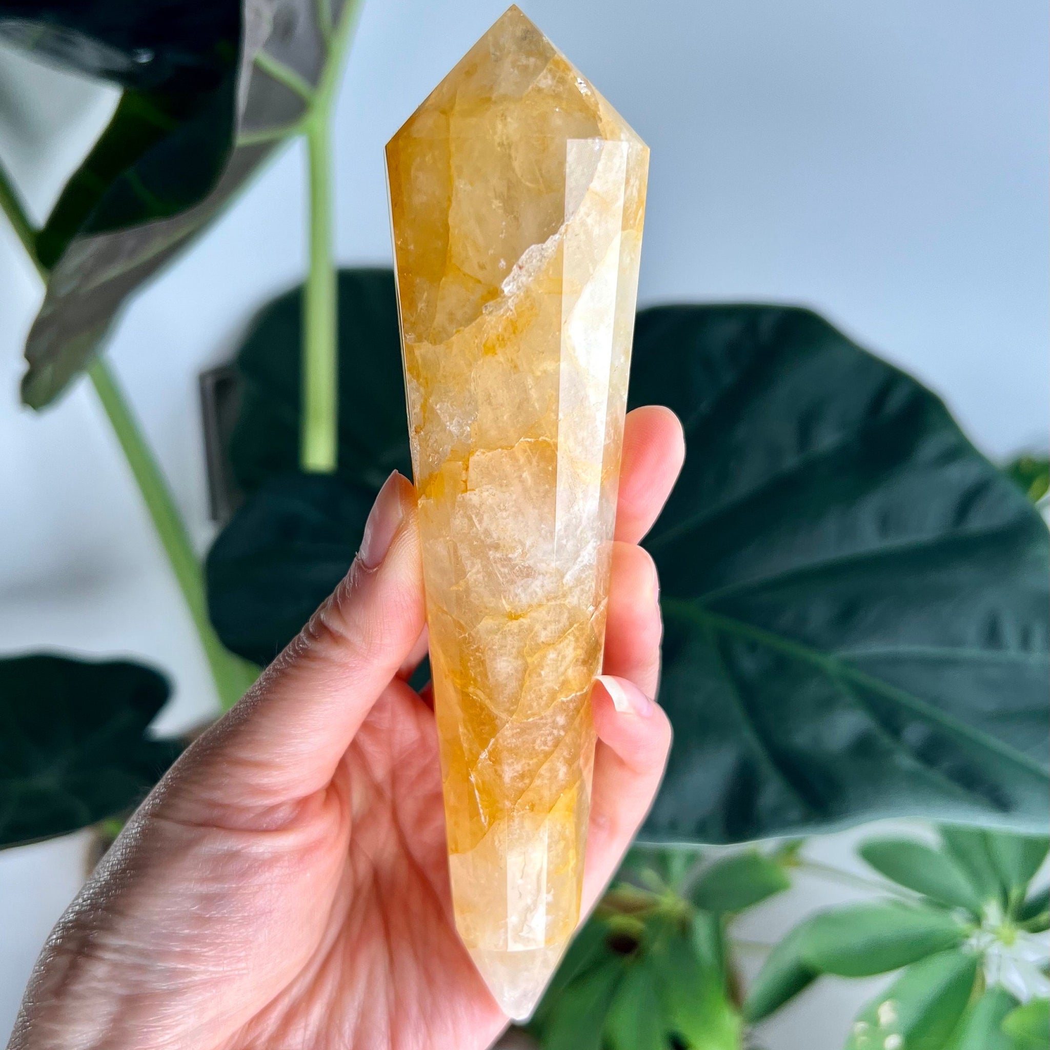 Grade AAA 12-Sided Golden Healer Vogel Wand - DISCOUNTED for damaged point, GVC24 254g