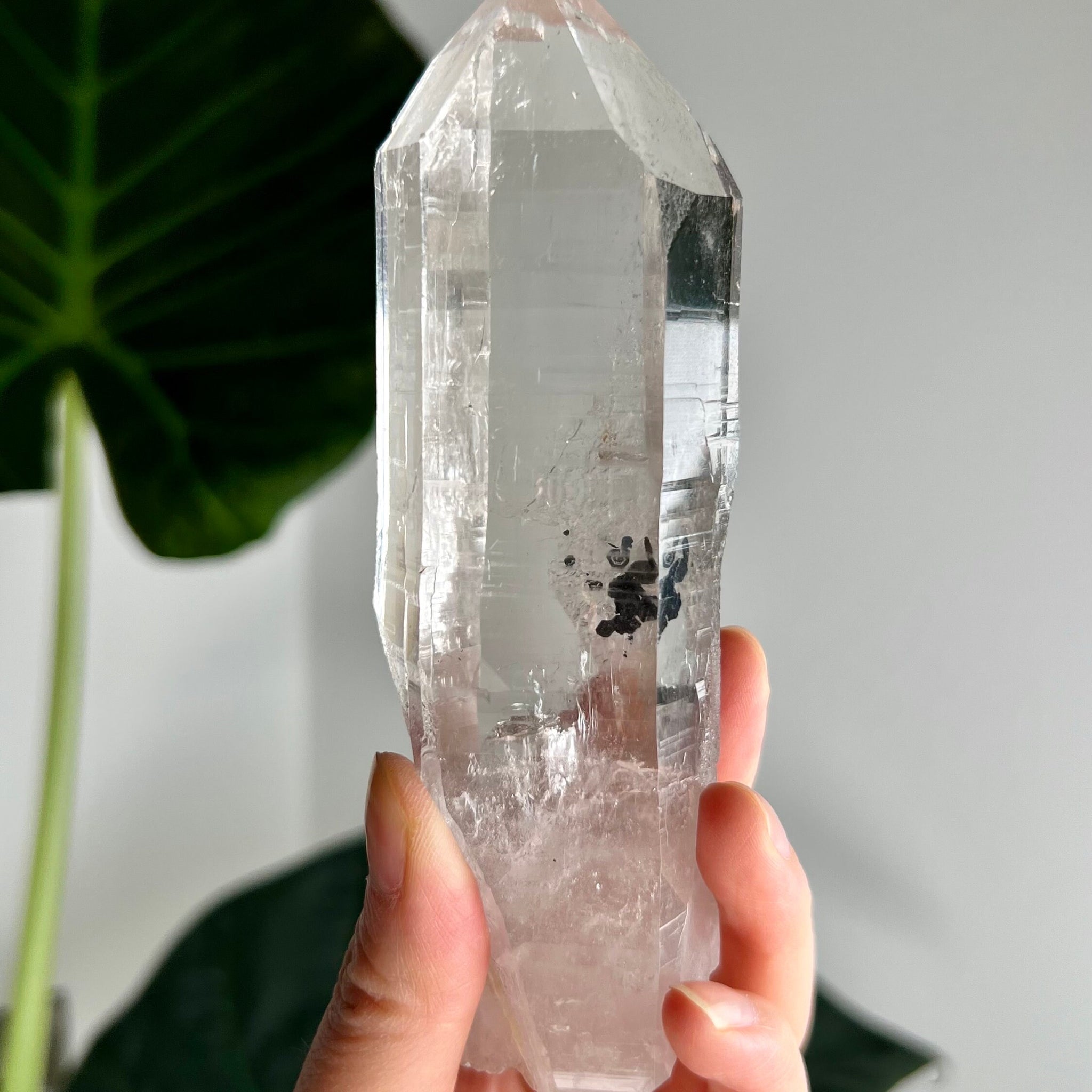 Grade AAA+ Natural Lemurian Cathedral Points with Black Hematite Inclusion - Collector Piece from Diamantina, Brazil LCC03, 275g