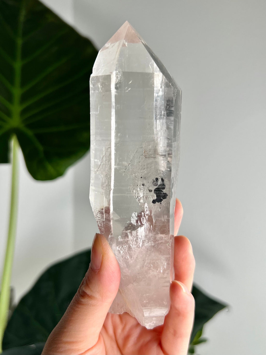 Grade AAA+ Natural Lemurian Cathedral Points with Black Hematite Inclusion - Collector Piece from Diamantina, Brazil LCC03, 275g