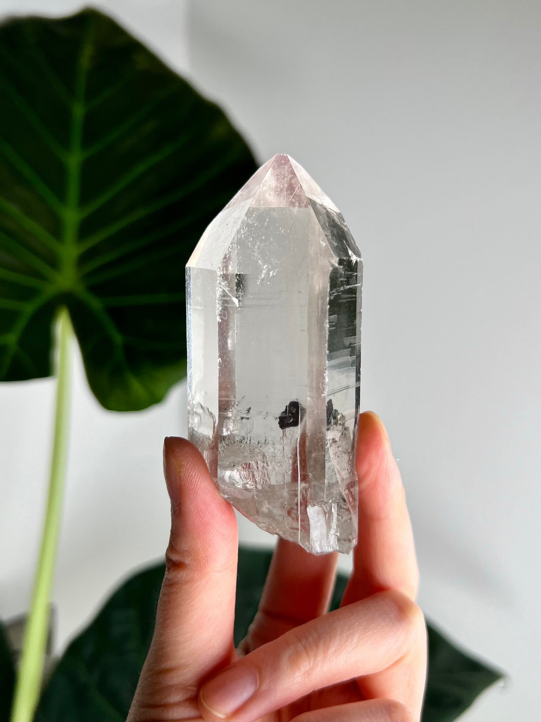 Grade AAA+ Natural Lemurian Cathedral Points with Black Hematite Inclusion - Collector Piece from Diamantina, Brazil LCC05, 174g