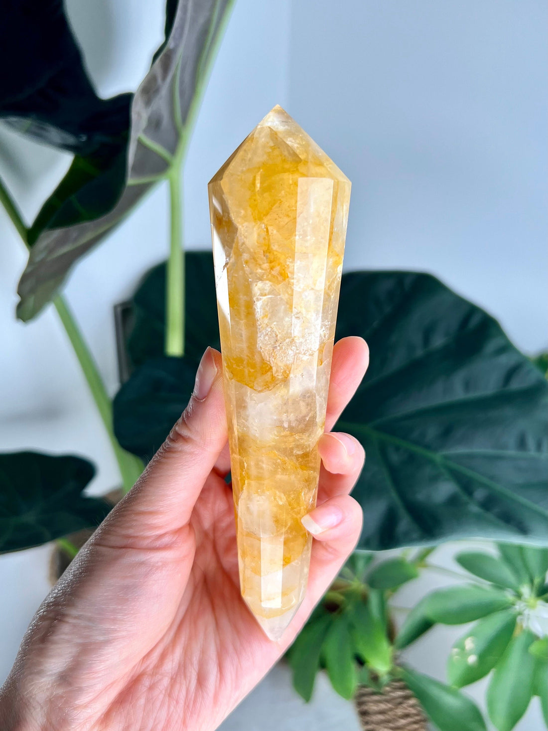 Grade AAA 12-Sided Golden Healer Vogel Wand - DISCOUNTED for damaged point, GVC24 254g