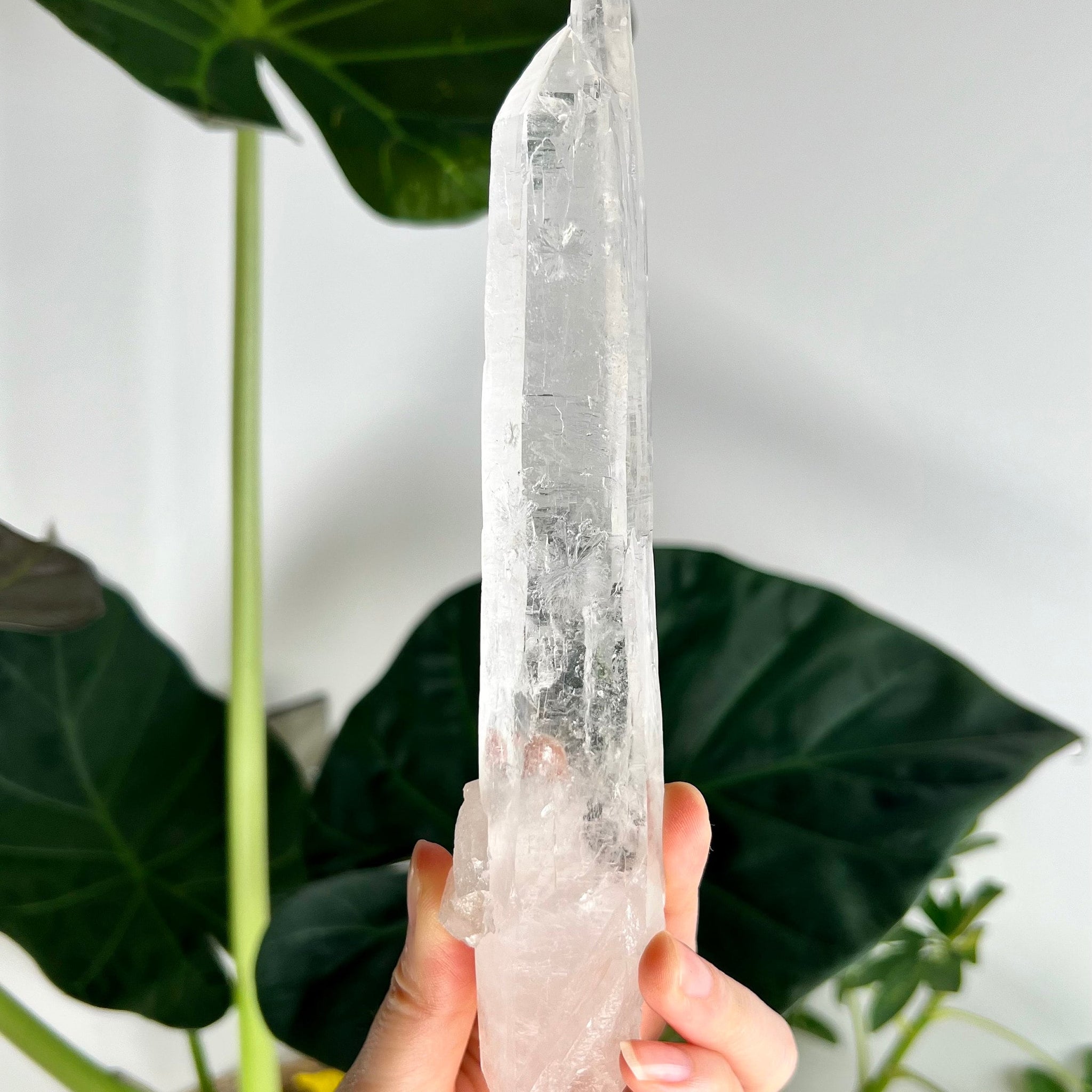 Grade AAA Singing Laser Quartz from Batatal, Diamantina - High Vibration Healing Crystal, SLH12, 213g