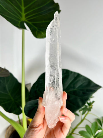 Grade AAA Singing Laser Quartz from Batatal, Diamantina - High Vibration Healing Crystal, SLH12, 213g