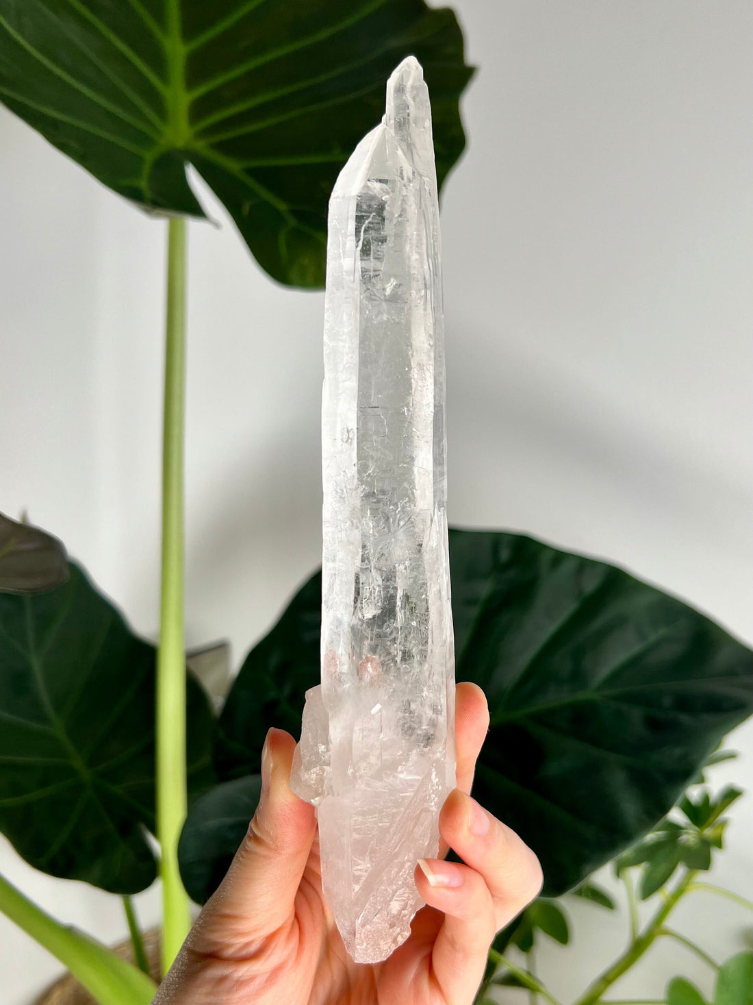 Grade AAA Singing Laser Quartz from Batatal, Diamantina - High Vibration Healing Crystal, SLH12, 213g