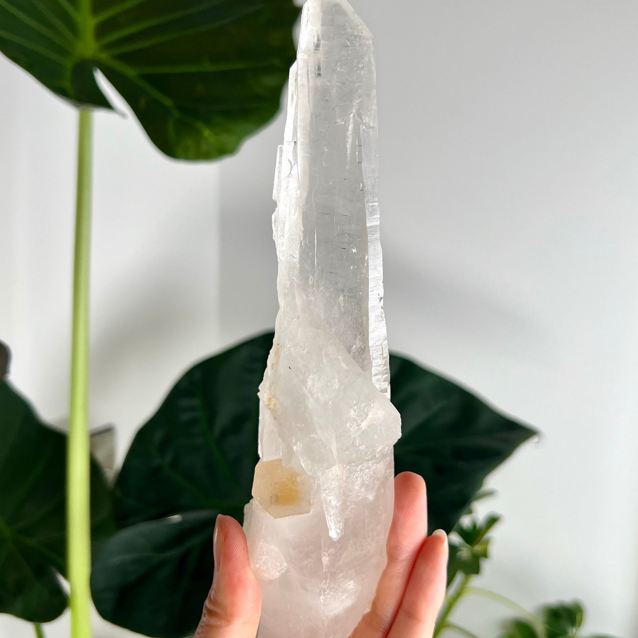 Grade AAA Singing Laser Quartz from Batatal, Diamantina - High Vibration Healing Crystal, SLH15, 399g