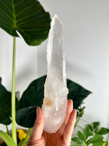 Grade AAA Singing Laser Quartz from Batatal, Diamantina - High Vibration Healing Crystal, SLH15, 399g