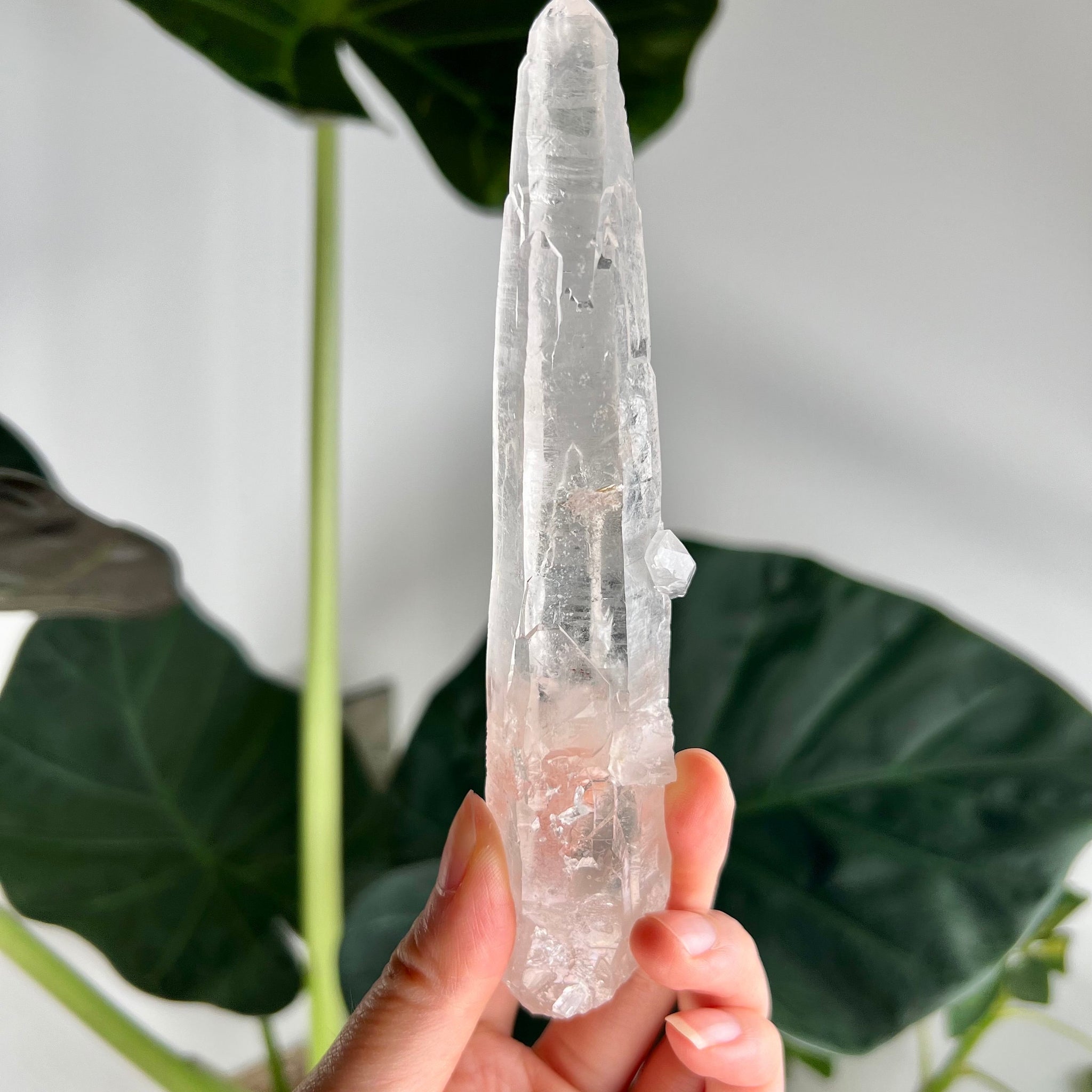 Grade AAA Singing Laser Quartz from Batatal, Diamantina - High Vibration Healing Crystal, SLH16, 127g