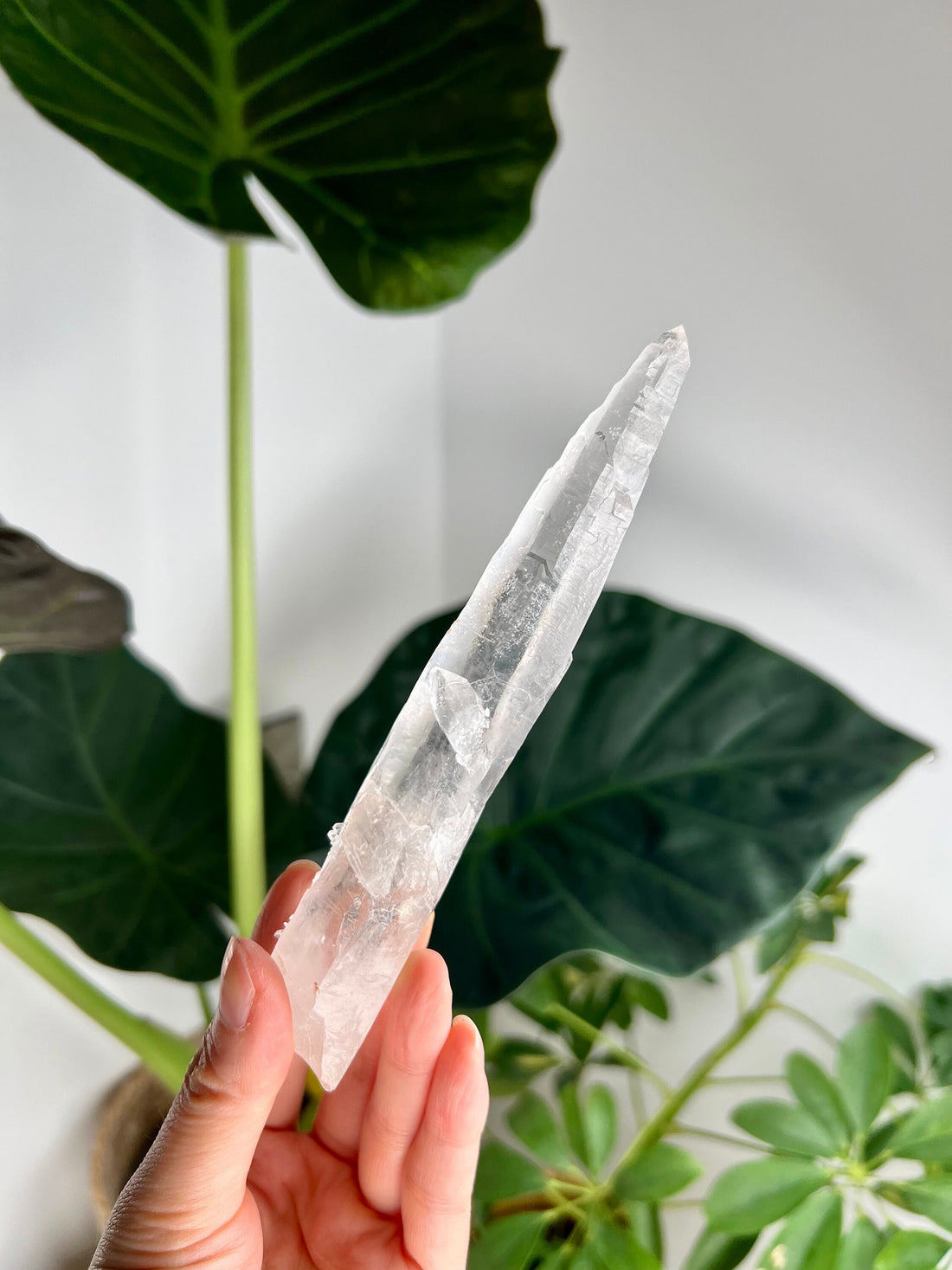 Grade AAA Singing Laser Quartz from Batatal, Diamantina - High Vibration Healing Crystal, SLH16, 127g