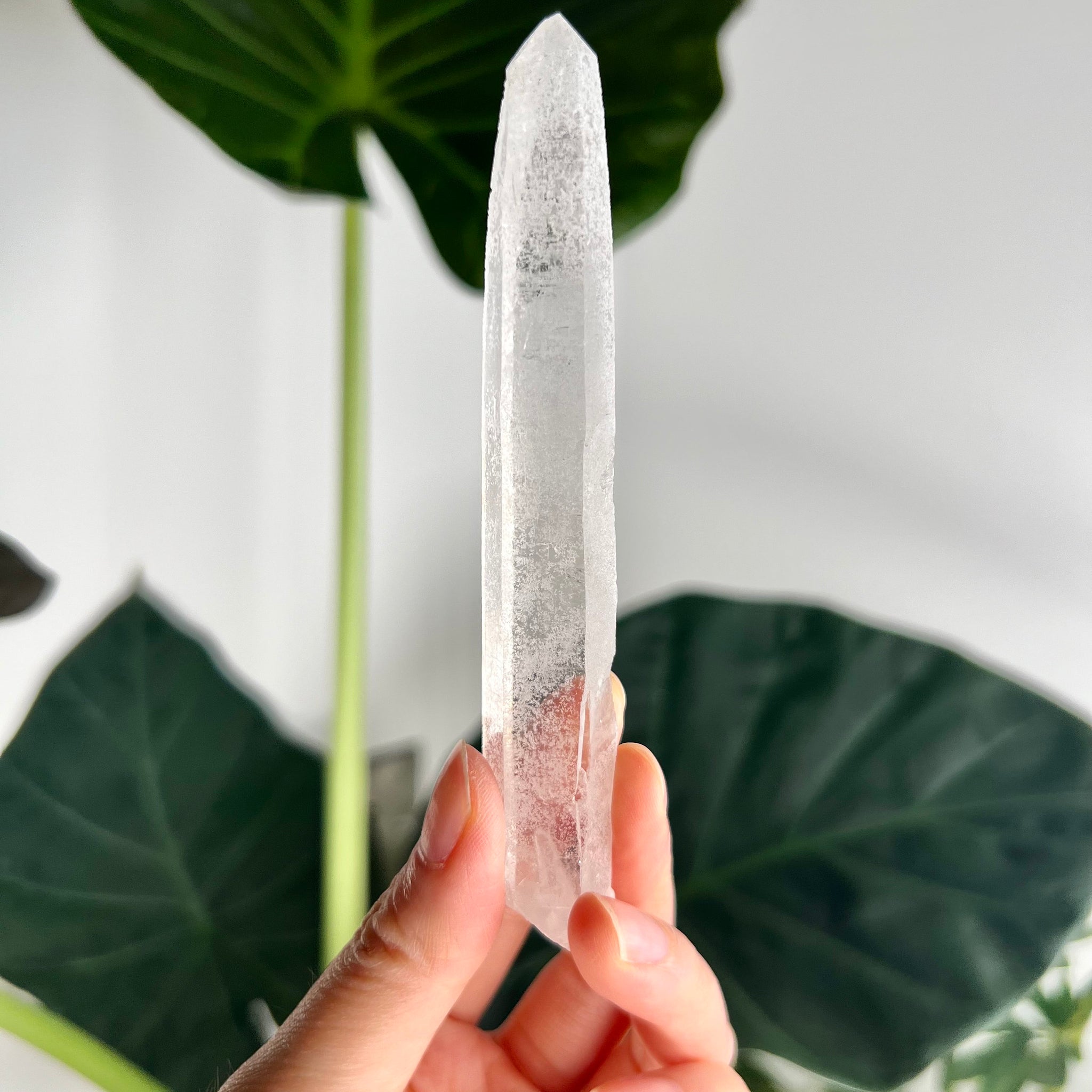 Grade AA Singing Laser Quartz from Batatal, Diamantina - High Vibration Healing Crystal, SLH09, 43g