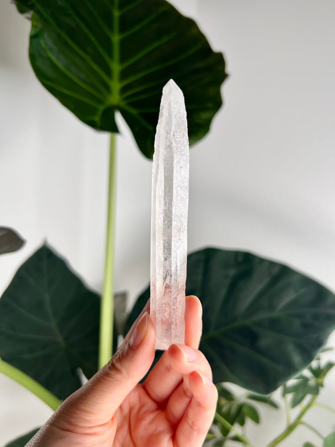 Grade AA Singing Laser Quartz from Batatal, Diamantina - High Vibration Healing Crystal, SLH09, 43g
