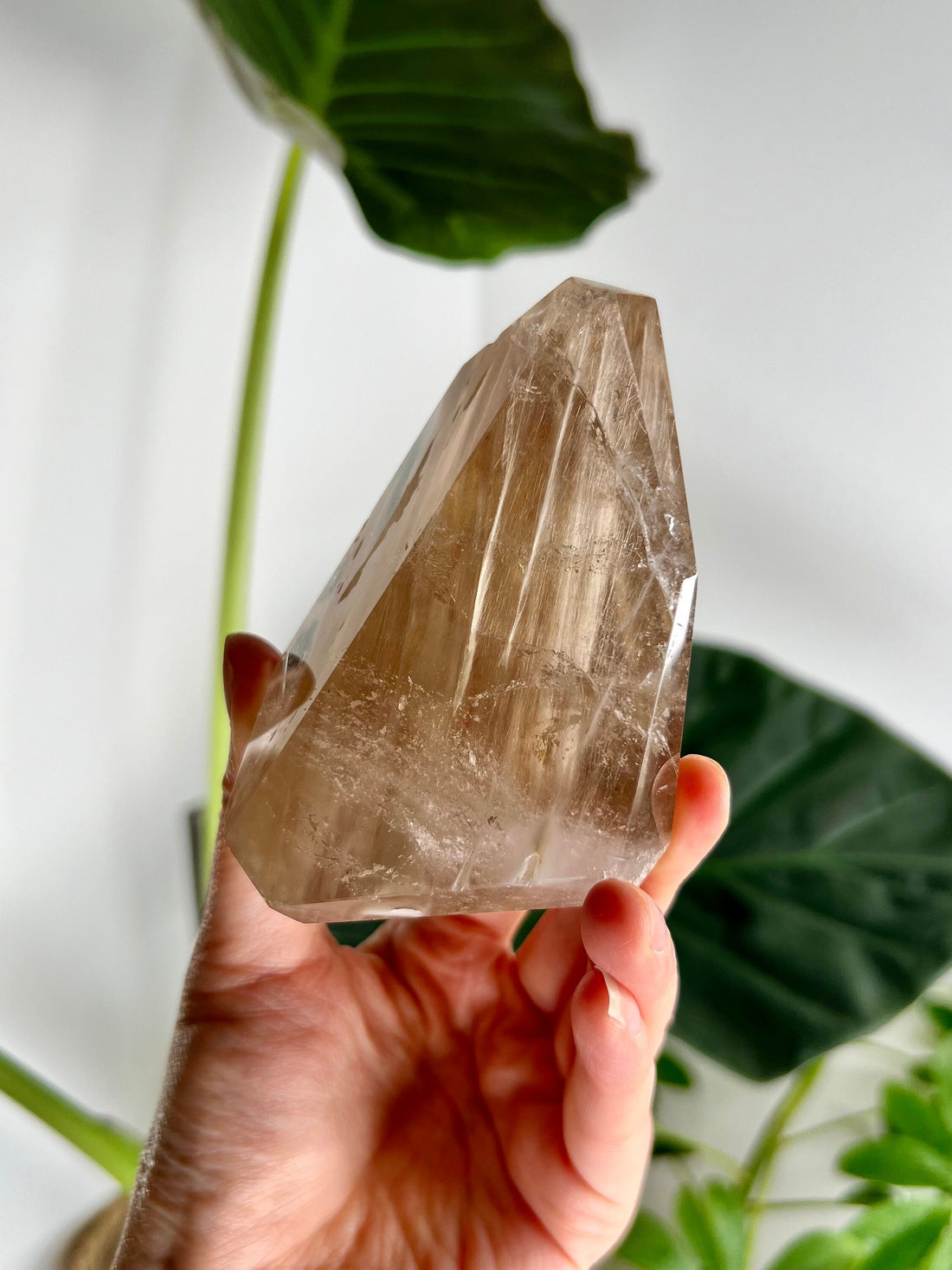 Grade AAA Natural Rutile Amphibole Quartz, Angel Phantom Quartz - from Taquaraçu de Minas, Brazil AFC02,263g