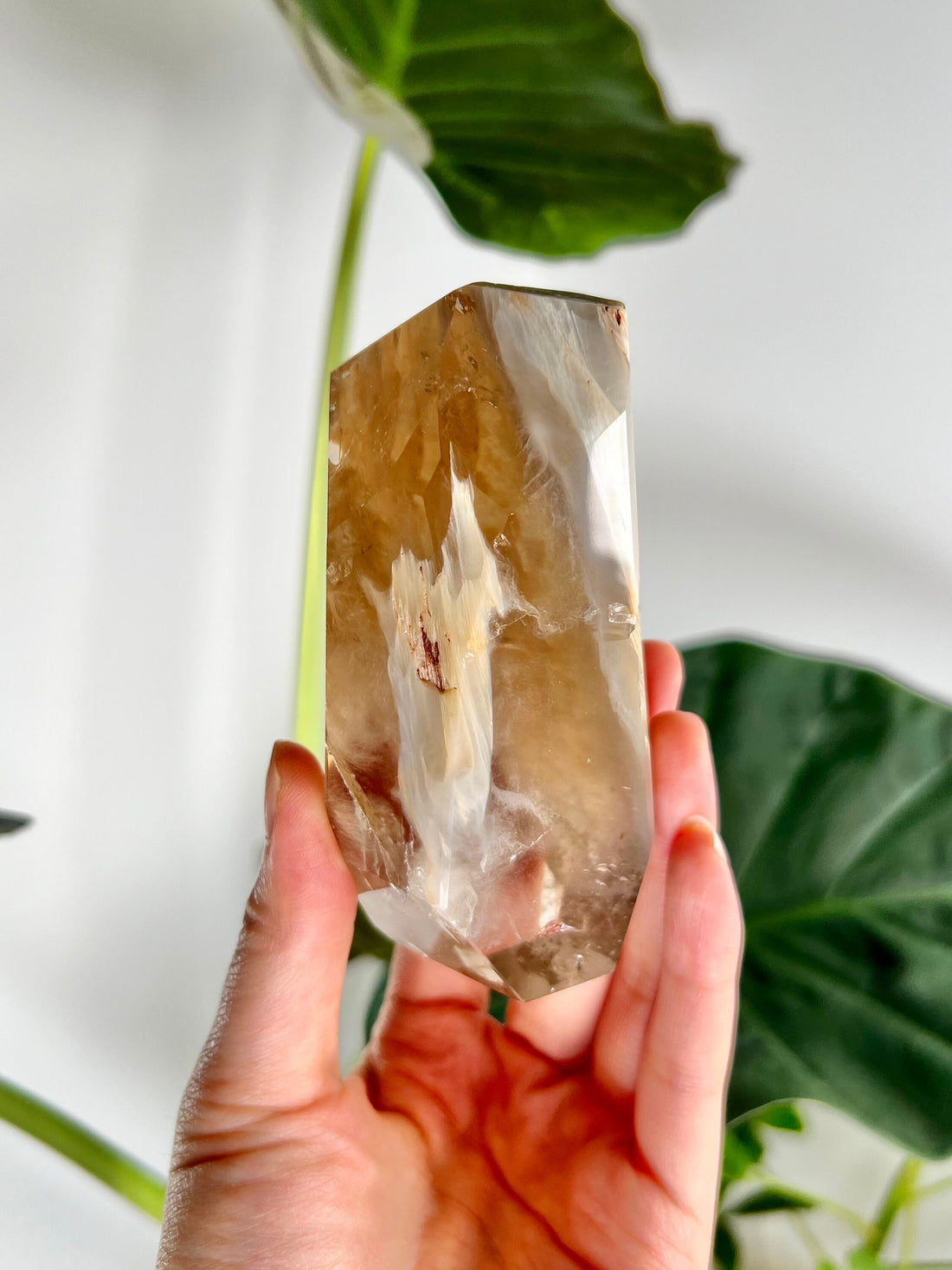 Grade AAA Natural Golden Rutilated Amphibole Quartz , Angel Phantom Quartz - from Taquaraçu de Minas, Brazil AFC03, 345g