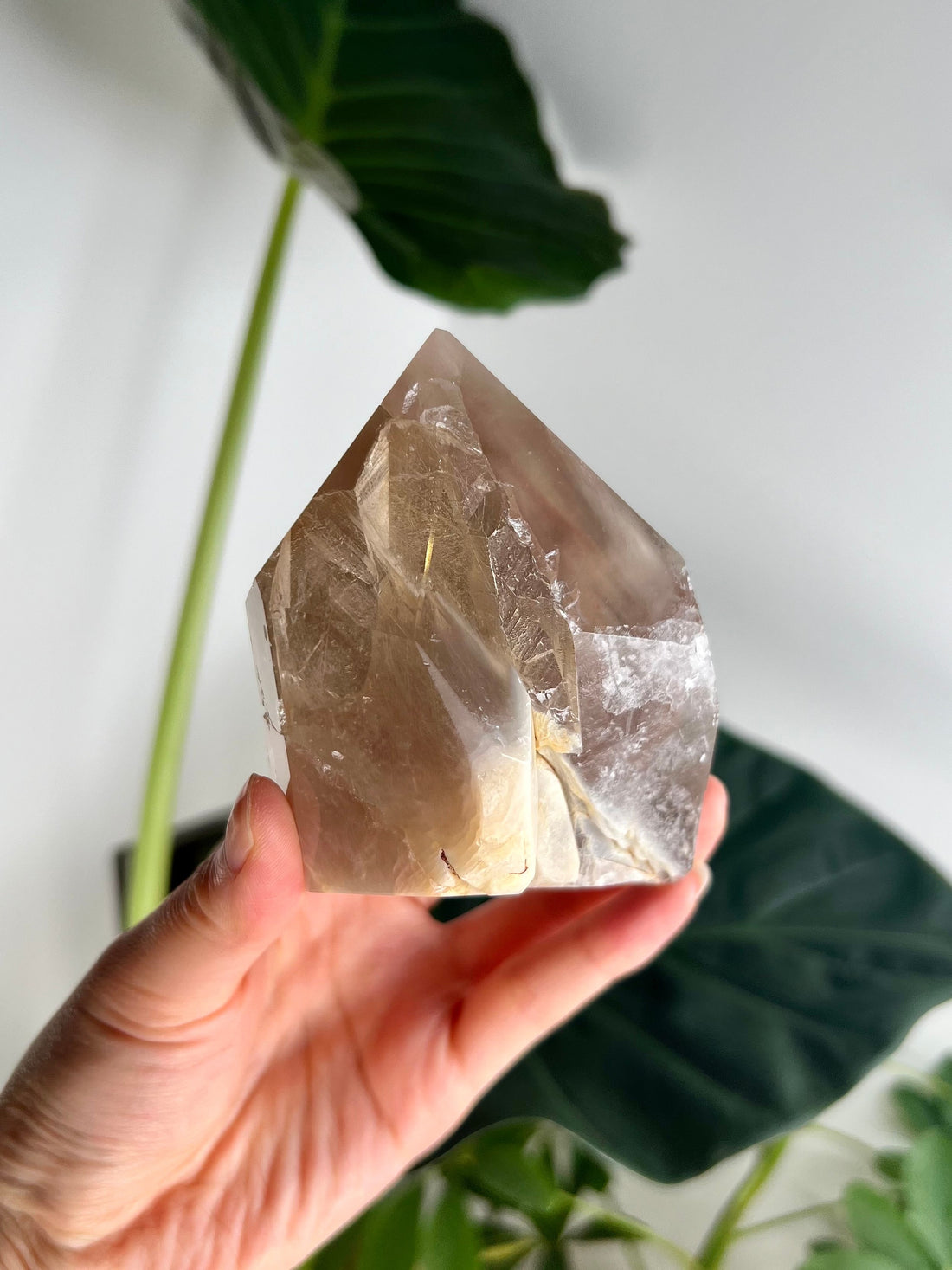 Grade AAA Natural Smoky Amphibole Rutile Quartz, Angel Phantom Quartz - from Taquaraçu de Minas, Brazil AFC07, 407g