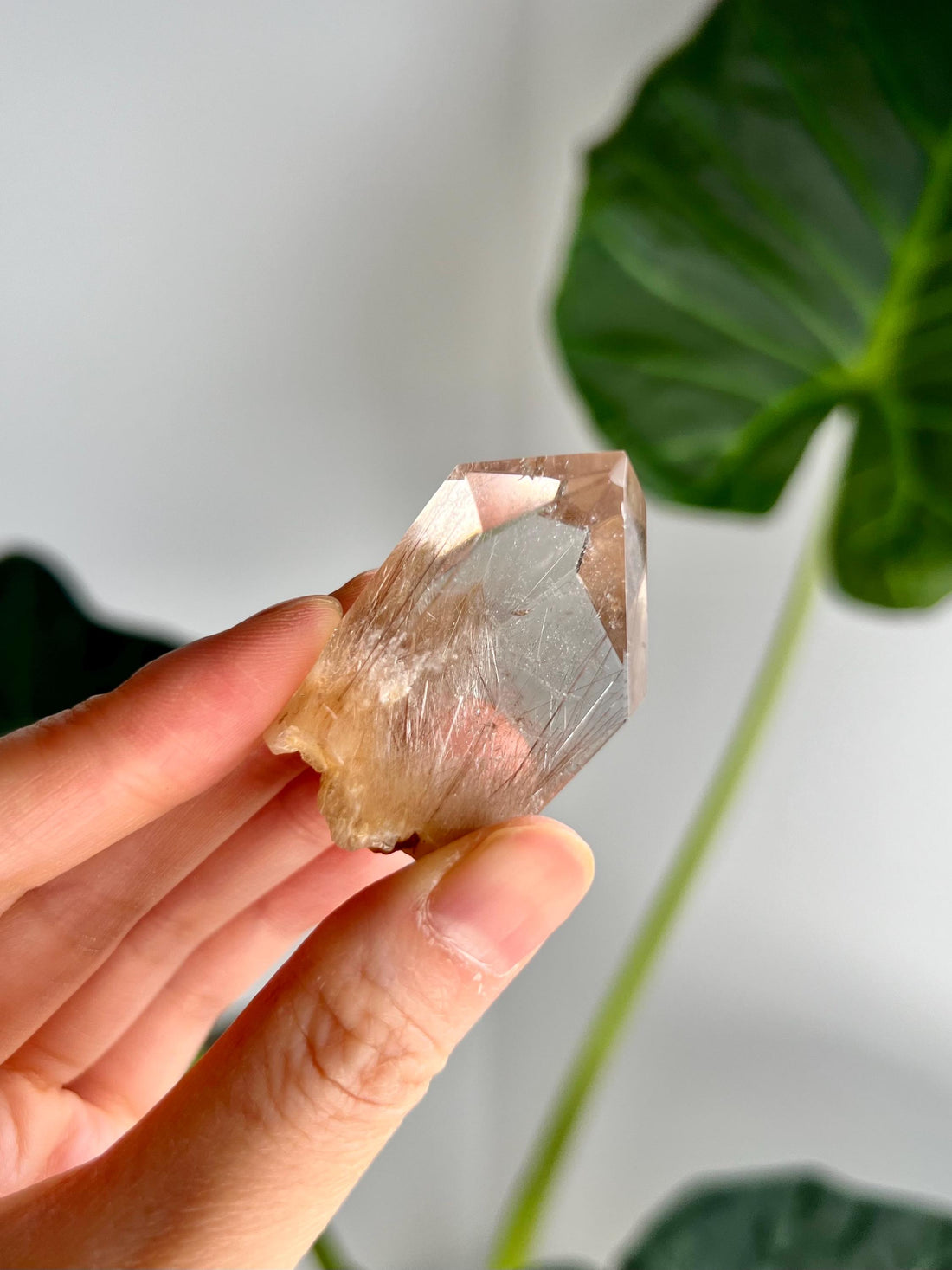 Grade AAA+ Natural Rutile Amphibole Quartz, Angel Phantom Quartz - from Taquaraçu de Minas, Brazil AFC28, 36g