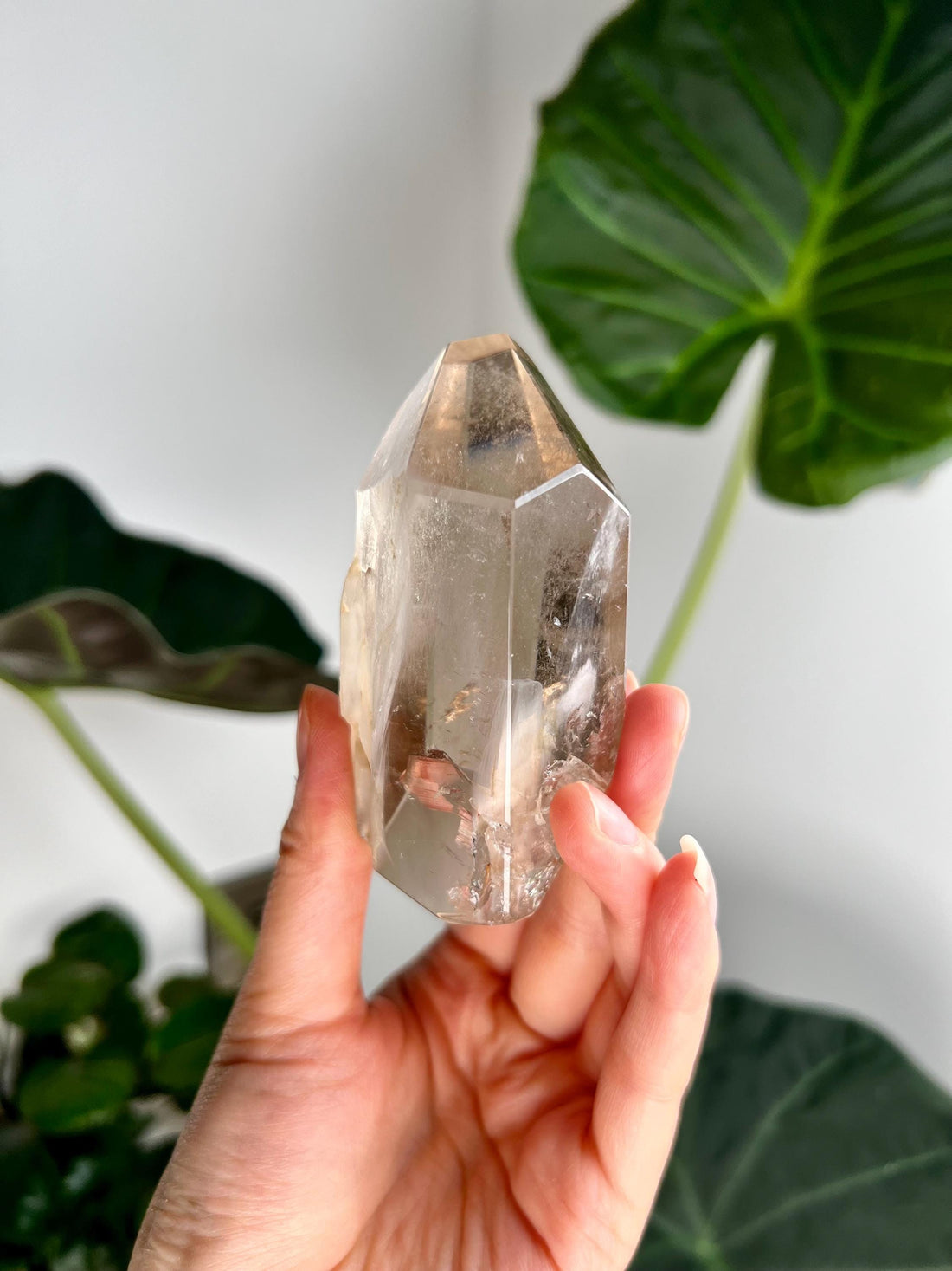 Grade AAA+ Natural Smoky Amphibole Quartz, Angel Phantom Quartz - from Taquaraçu de Minas, Brazil AFC31, 229g