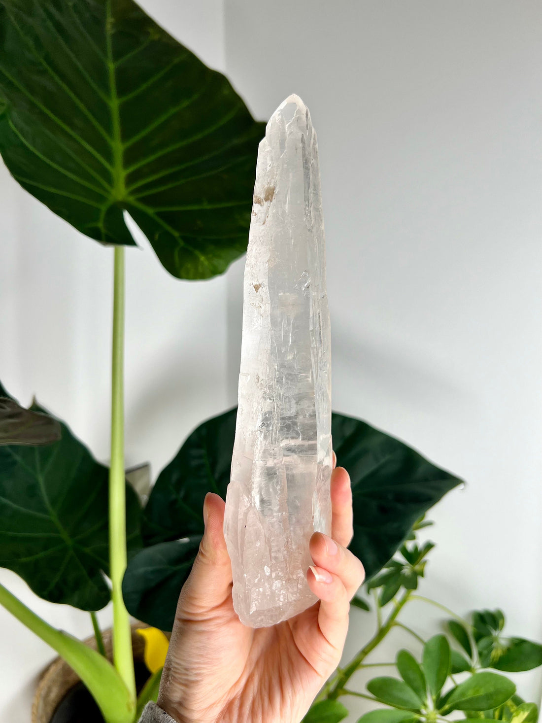 Grade AAA Singing Laser Quartz from Batatal, Diamantina - High Vibration Healing Crystal, SLH13, 567g